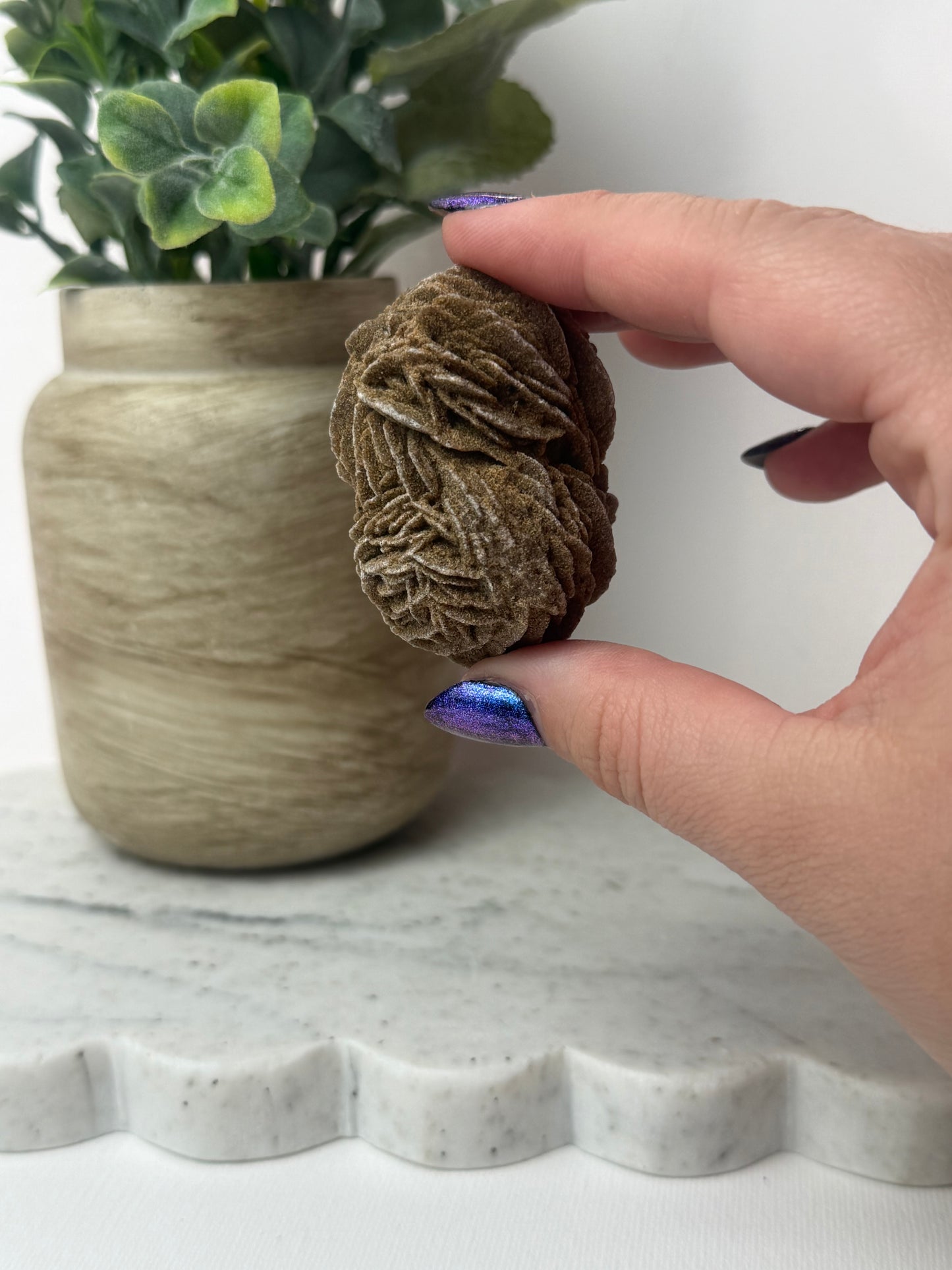 Desert Rose