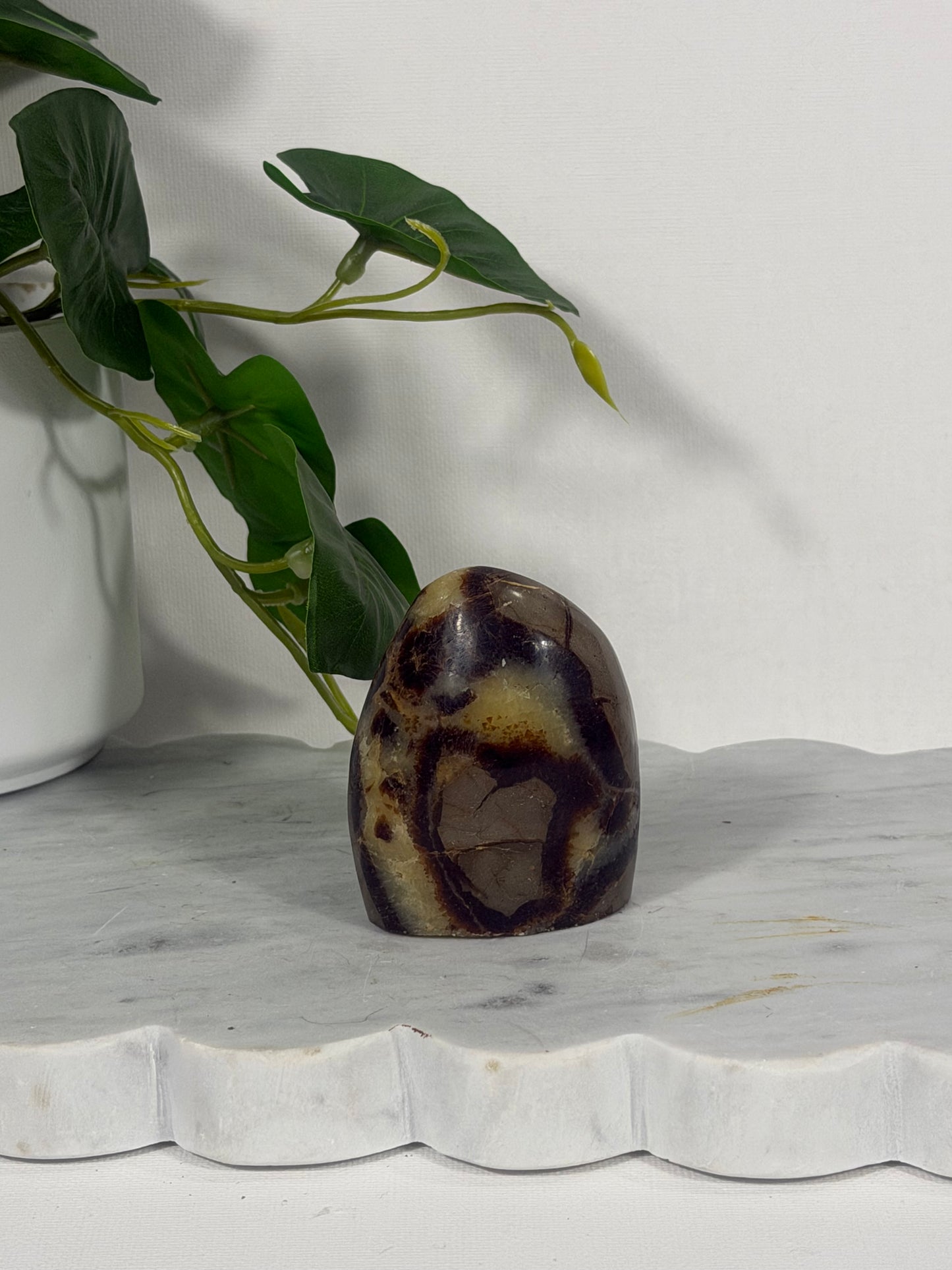 Septarian Freeform