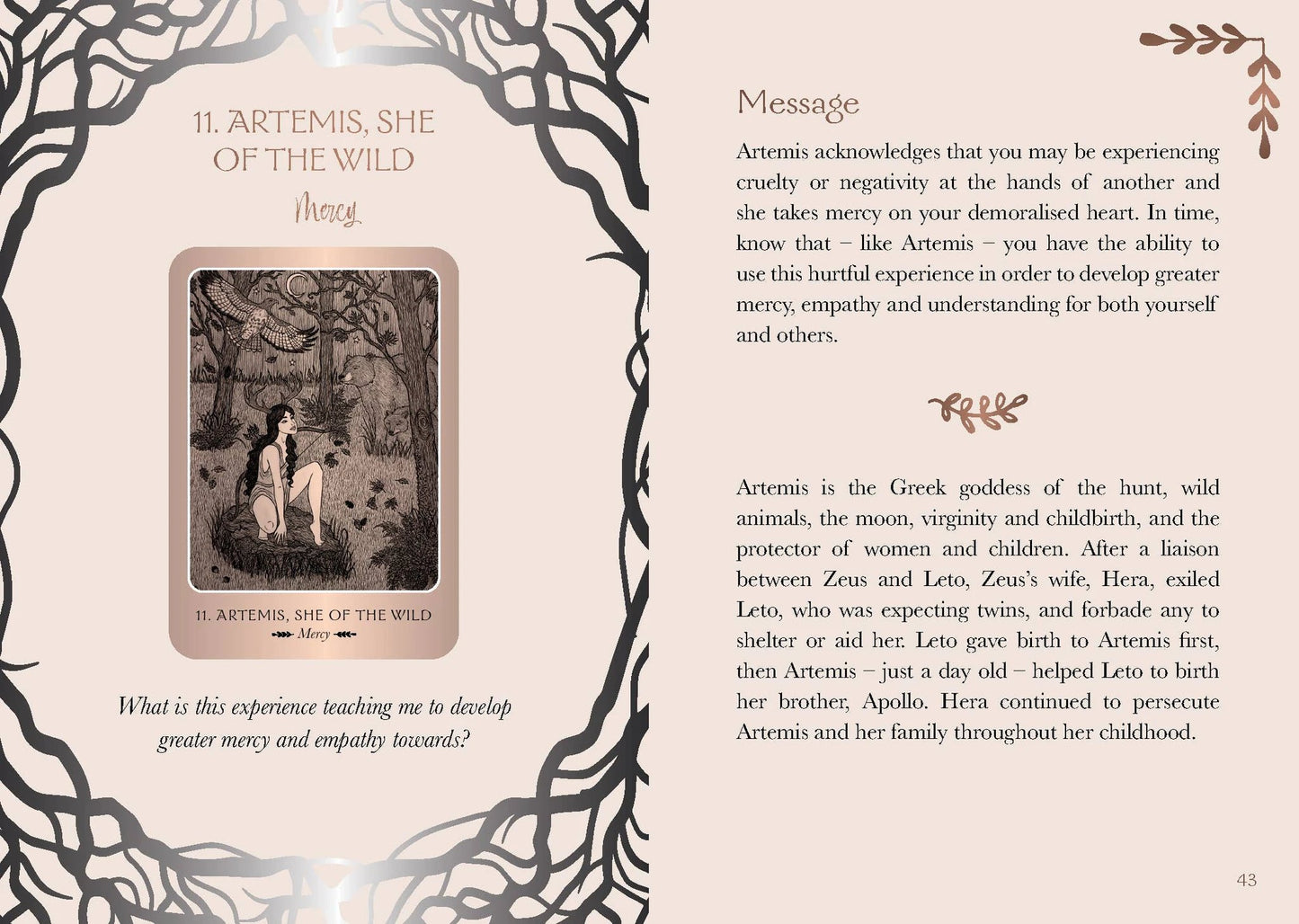 Wild Woman Oracle (44 Cards & 144 Page Guidebook) by ROCKPOOL PUBLISHING