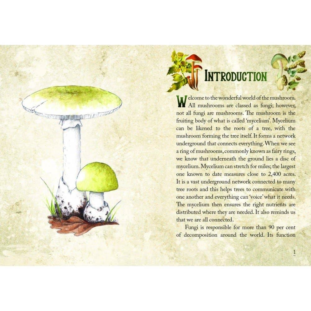 Mushroom Spirit Oracle Cards by WONDER IMPORTS AUSTRALIA