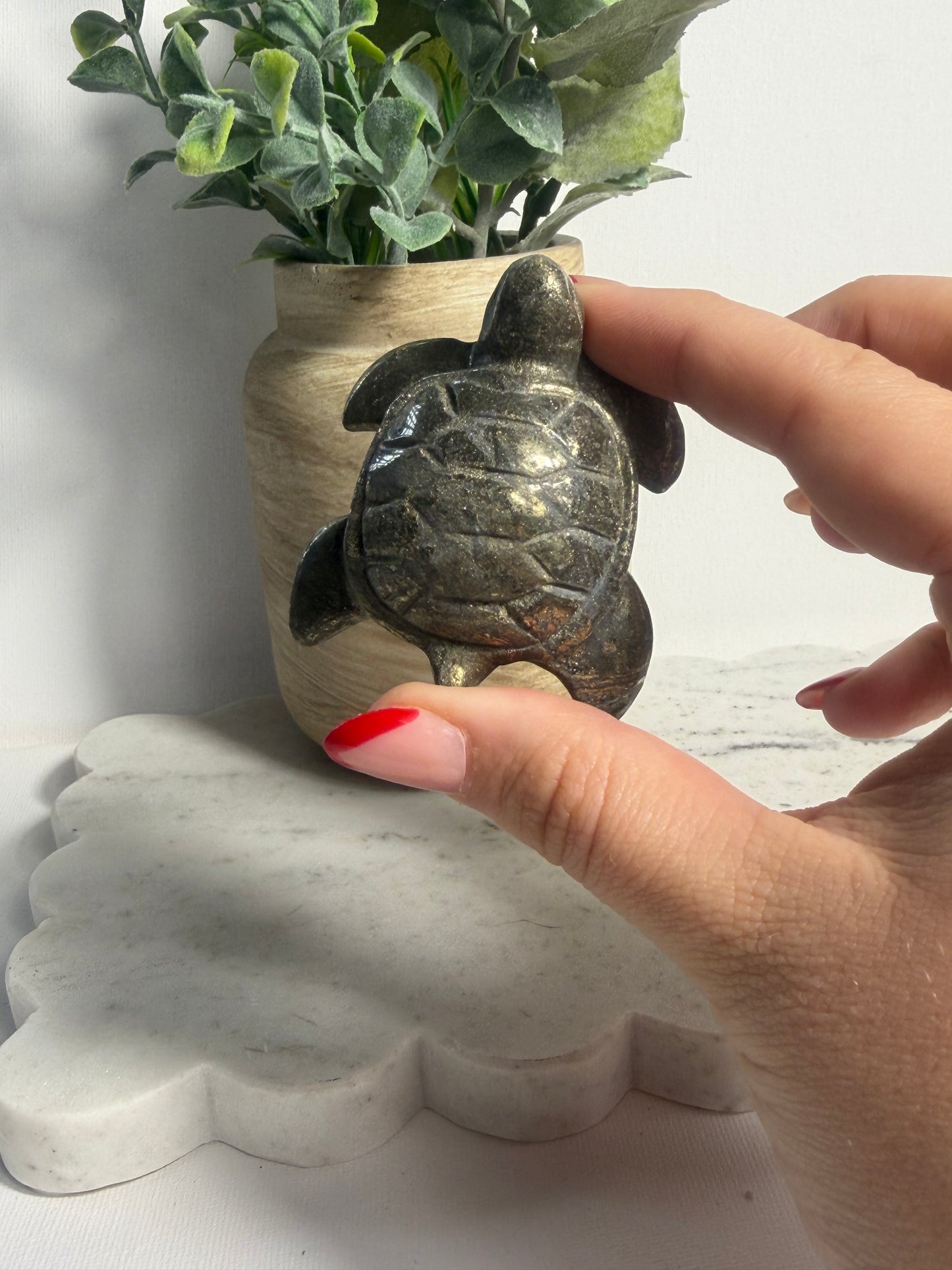 Pyrite Turtle