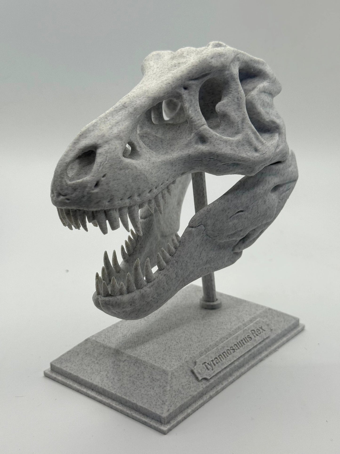 T-Rex 3D Printed by Heartstone Sanctuary