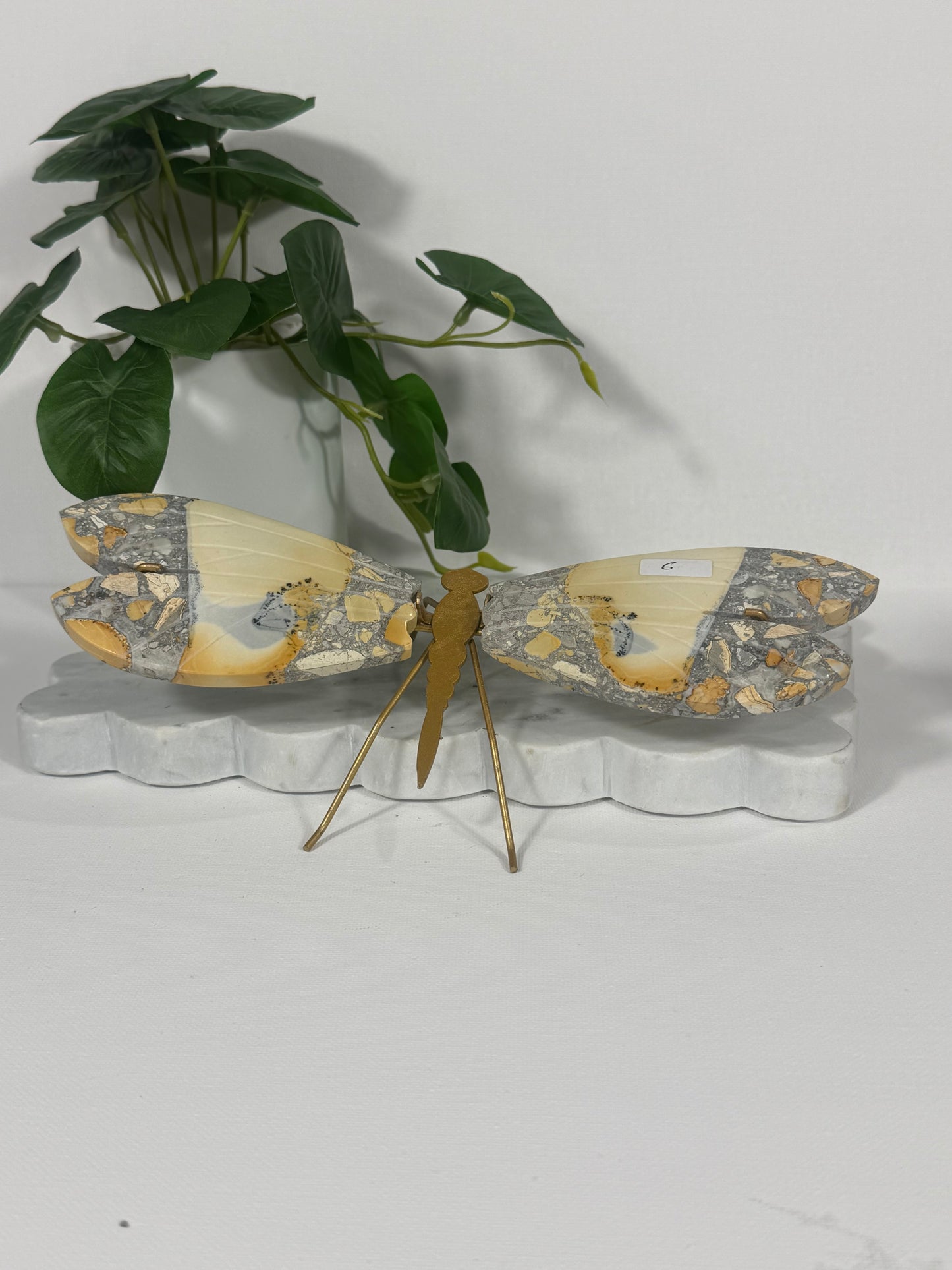 Maligano Jasper Dragonfly