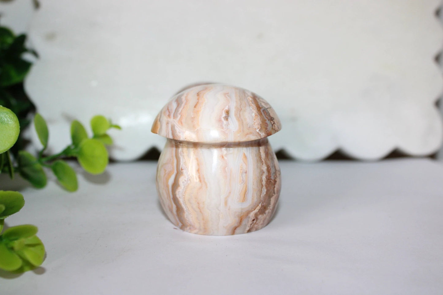 Crazy Lace Mushroom by Heartstone Sanctuary