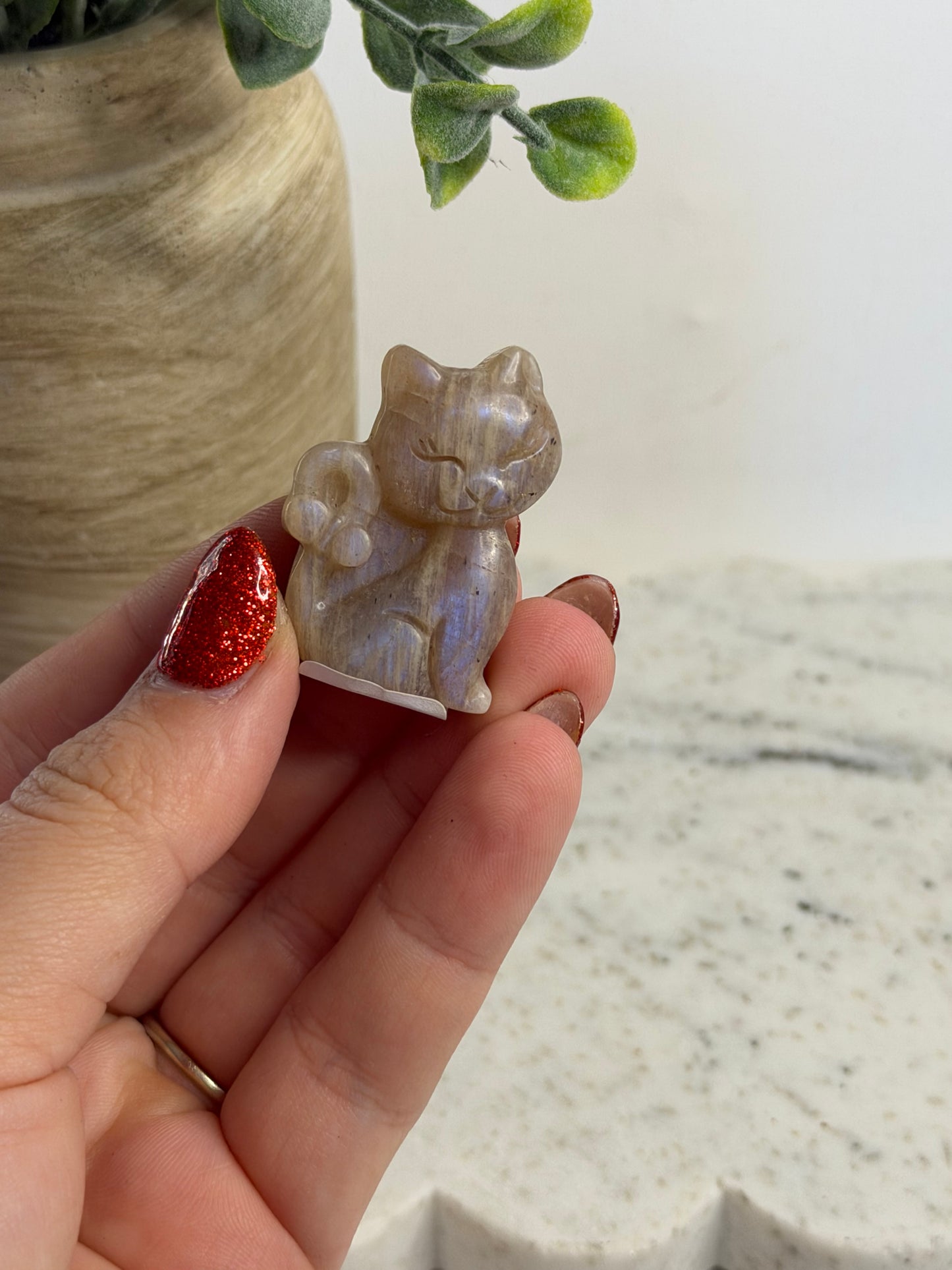 Blue Moonstone Cat
