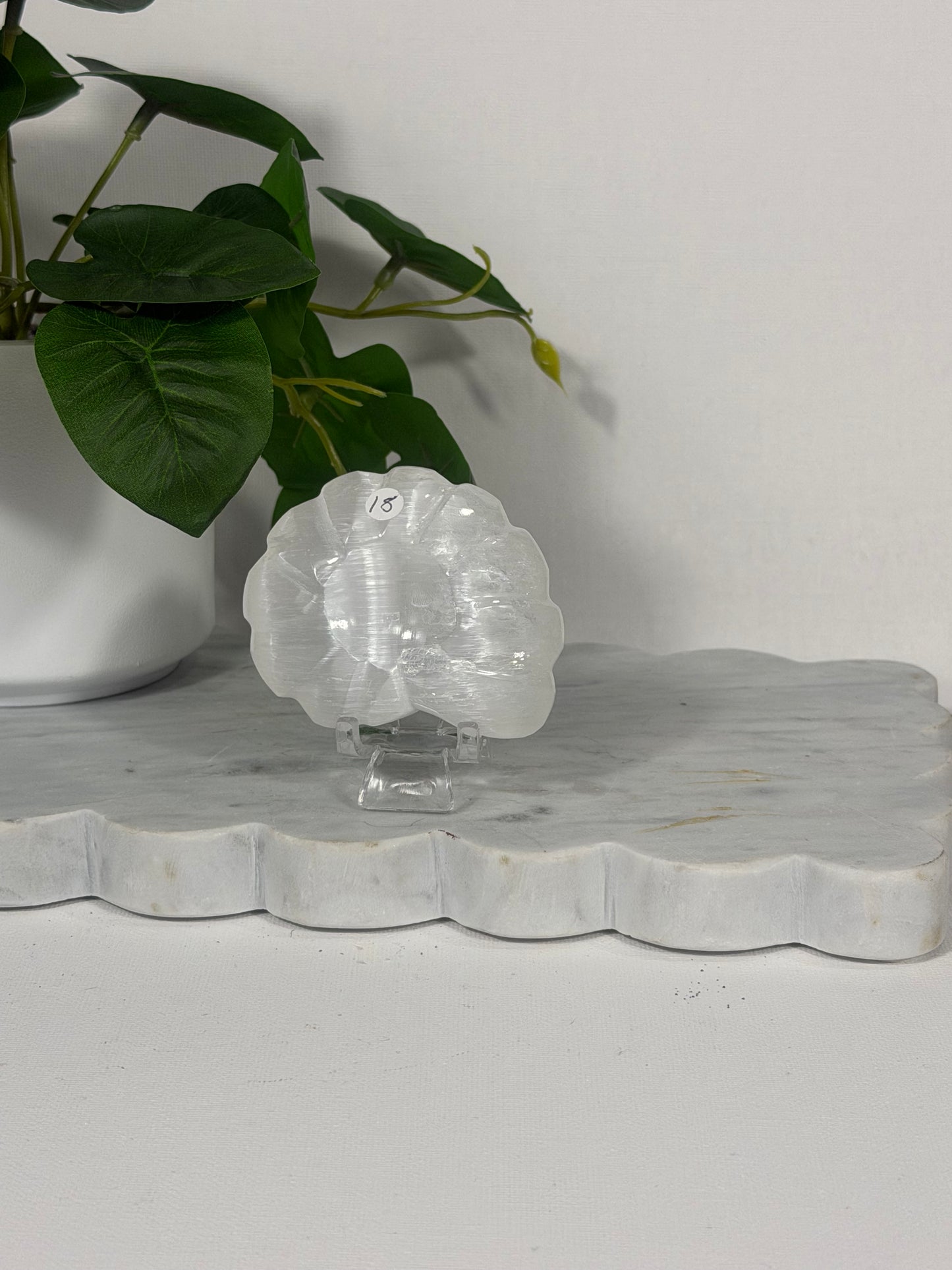 Selenite Sphere Stand