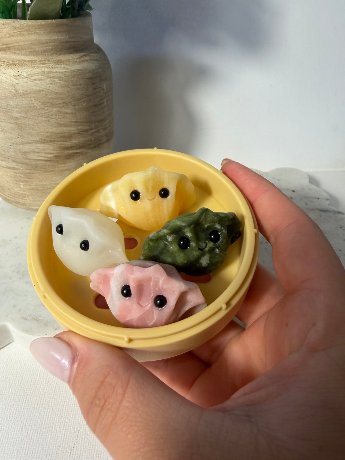 Dumpling mixed Gyoza Set