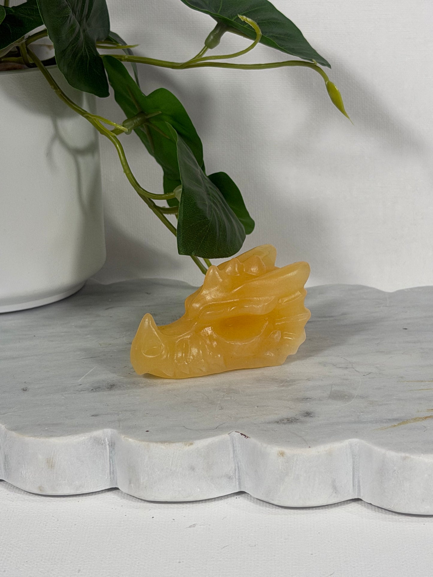 Yellow Calcite Dragon Skull