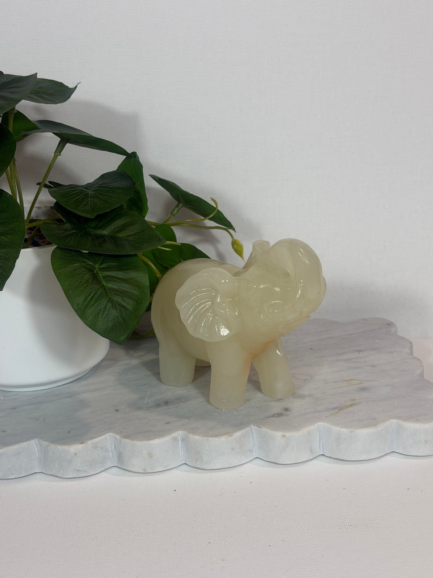 African Jade Elephant