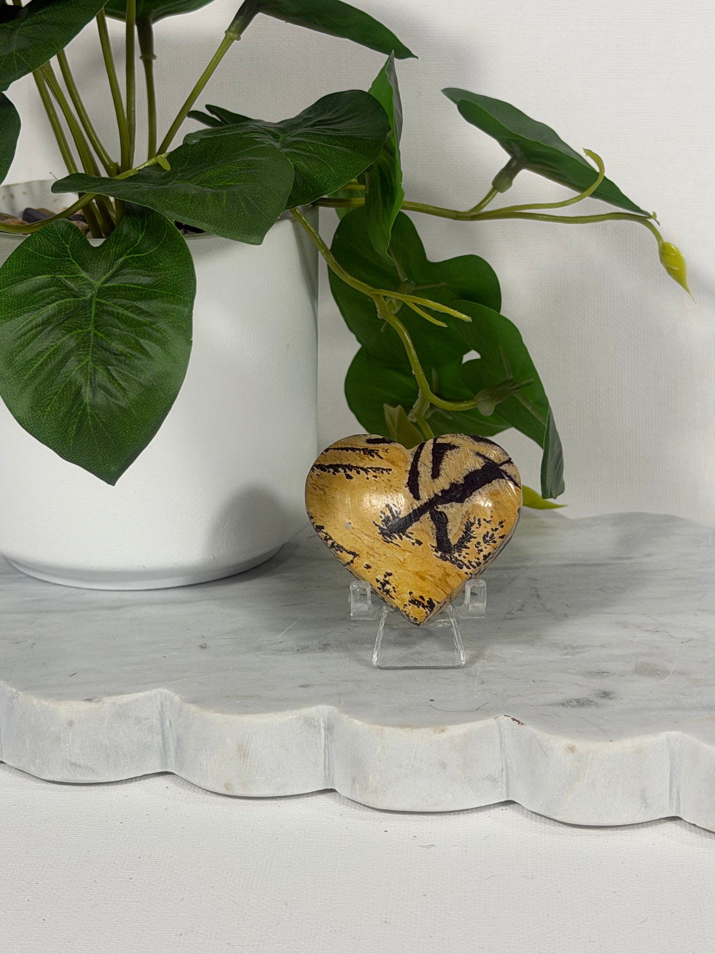 Picture Jasper Box