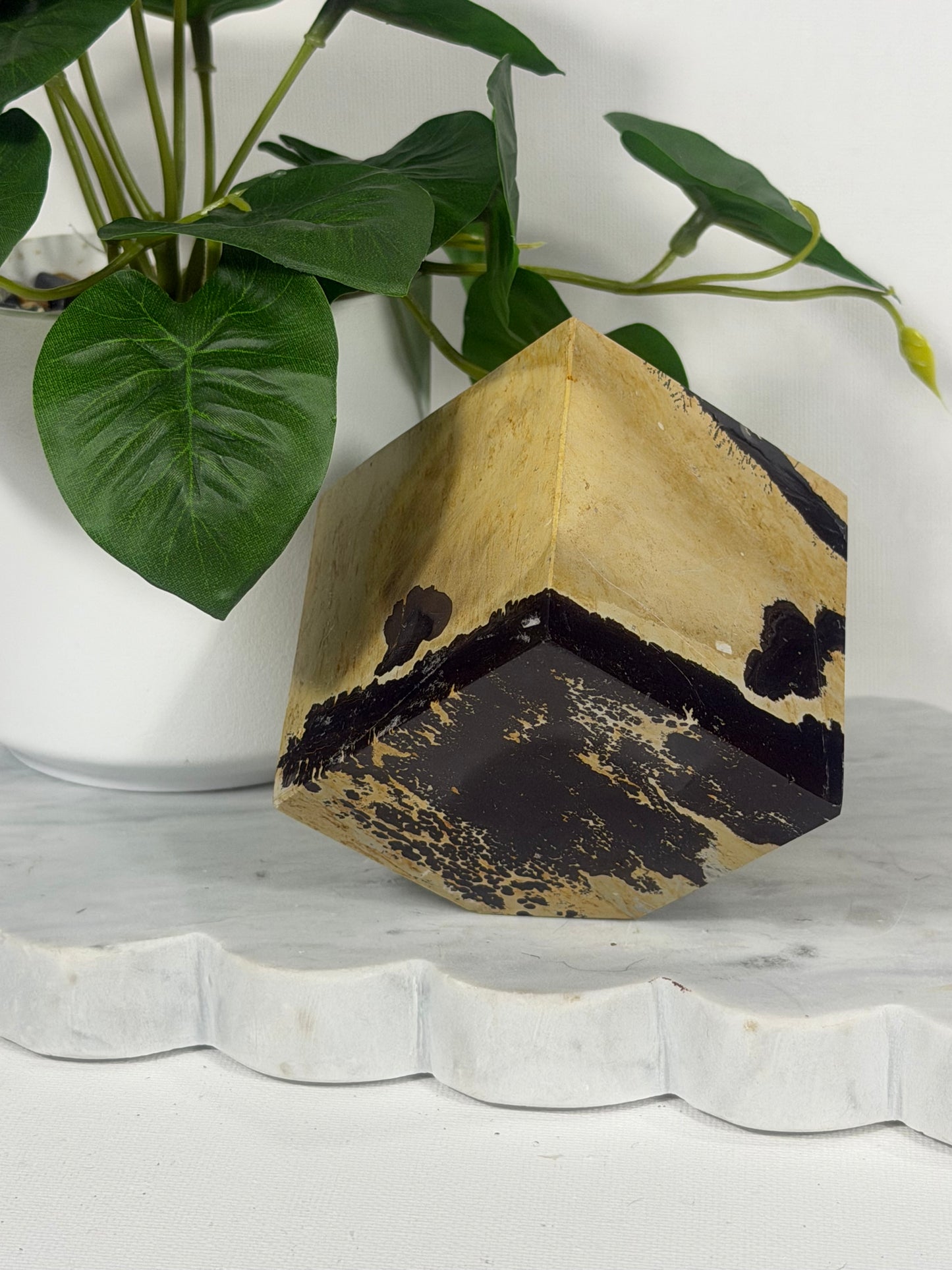 Picture Jasper Floating Cube
