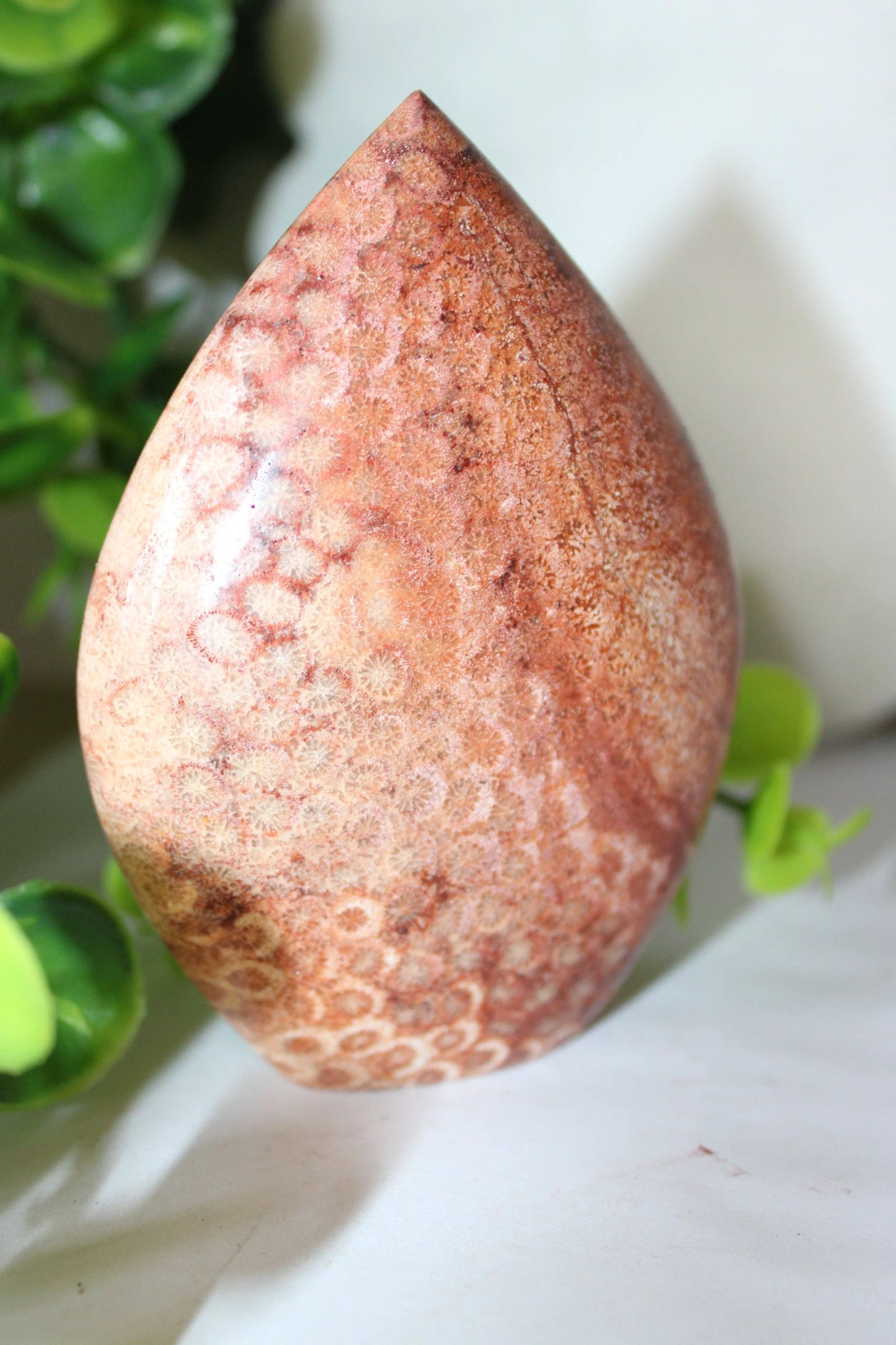 Red Coral Fossil Teardrop by Heartstone Sanctuary