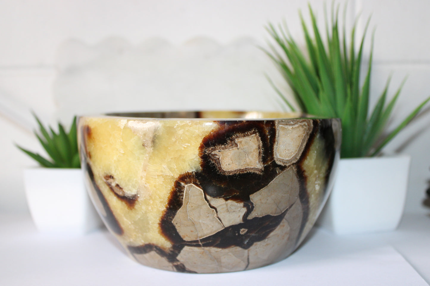 Septarian Crystal Bowl | Grounding & Ancient Earth Energy by Heartstone Sanctuary
