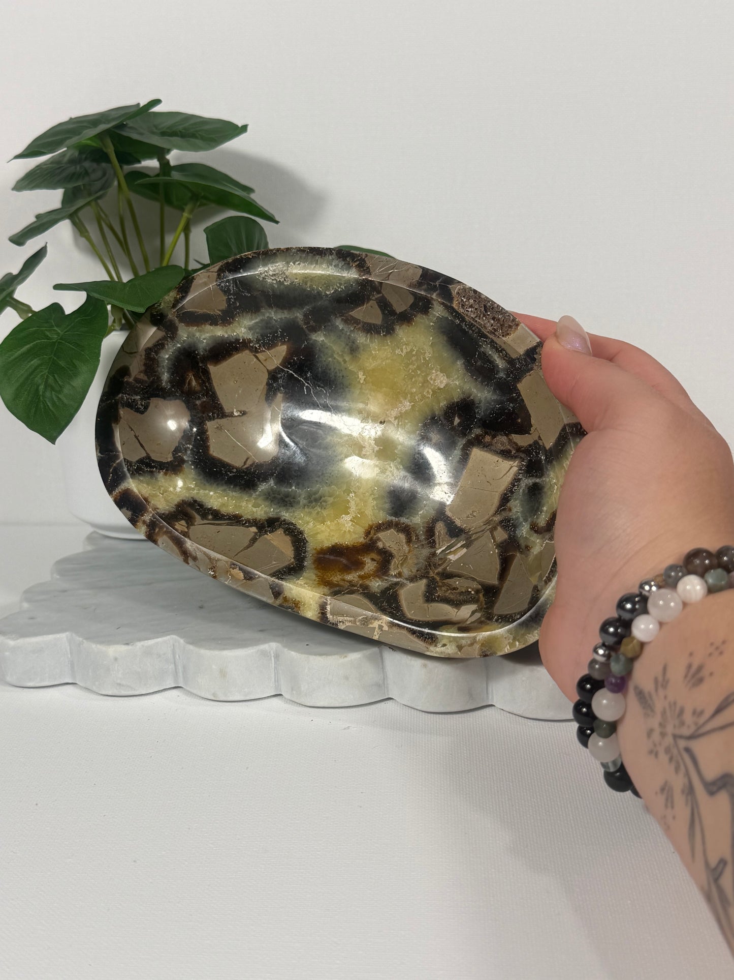 Septarian Bowl