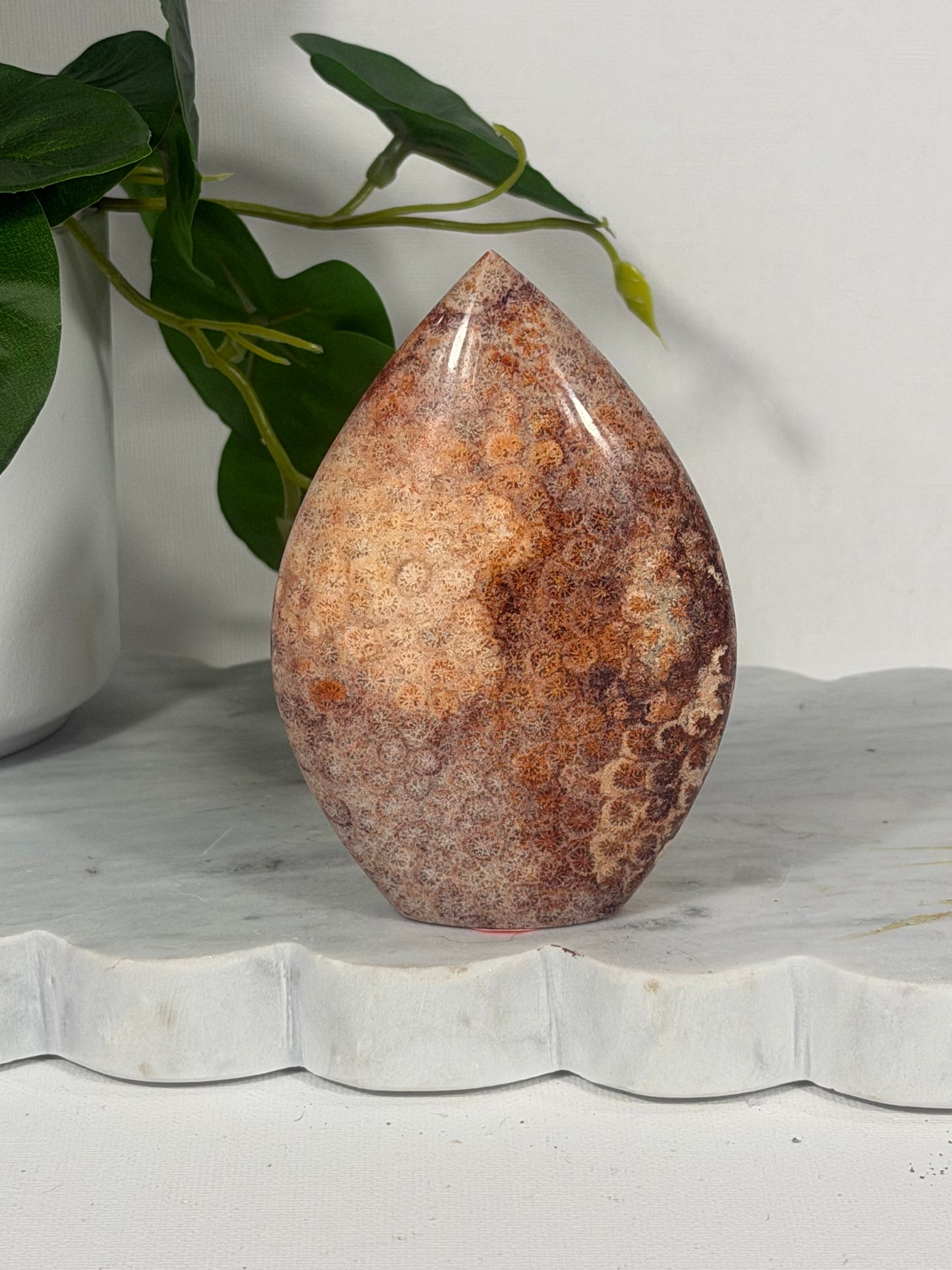 Red Coral Fossil Freeform