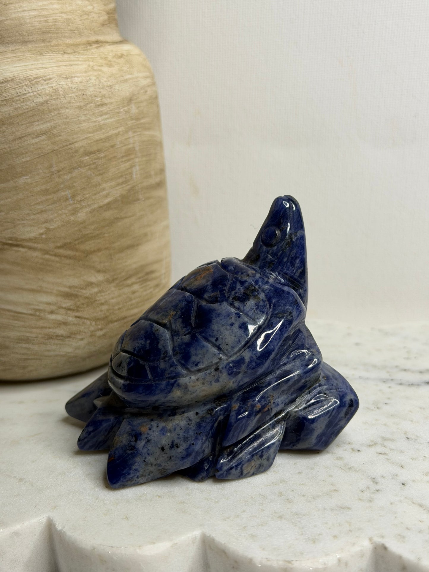 Sodalite Turtle