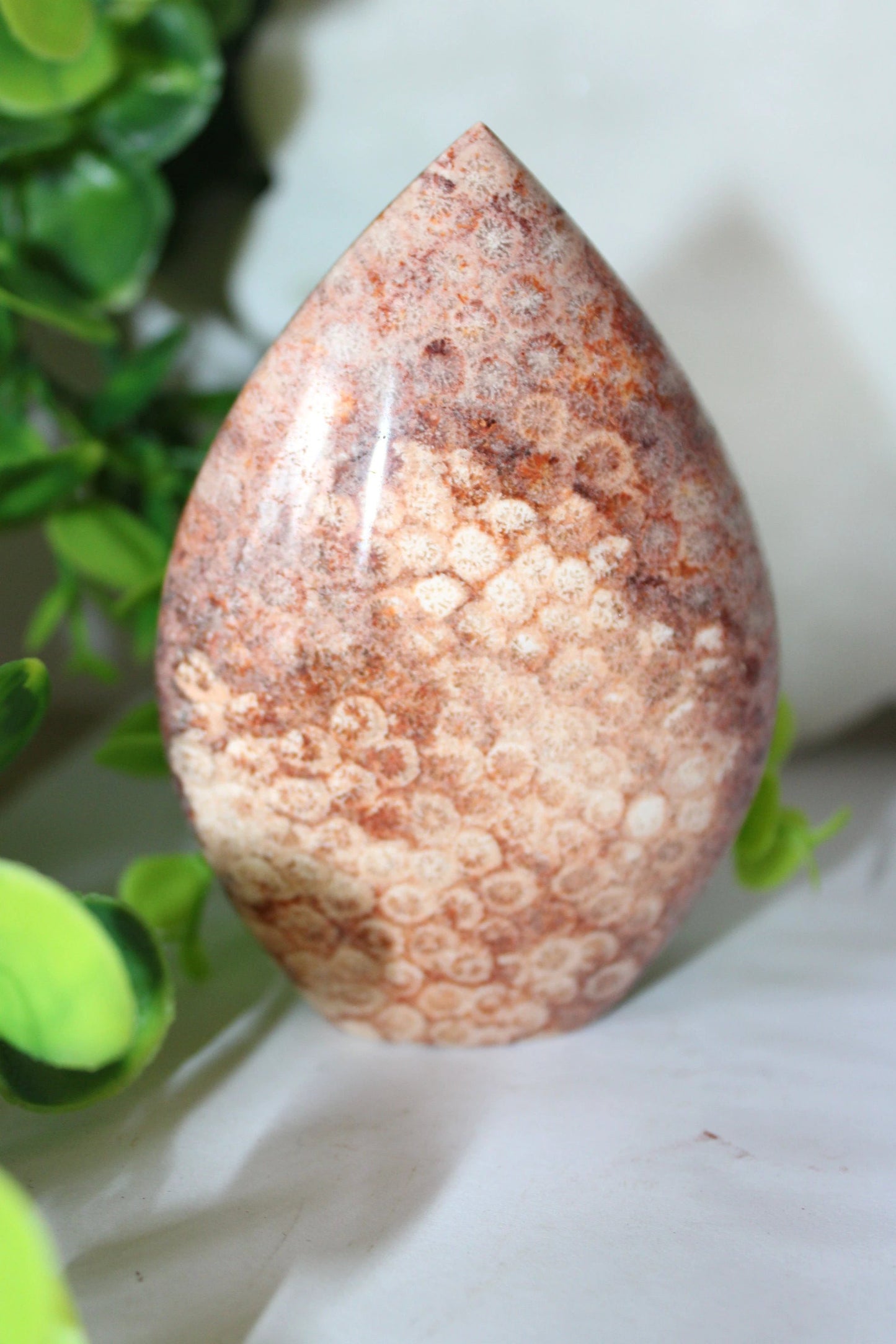 Red Coral Fossil Teardrop by Heartstone Sanctuary
