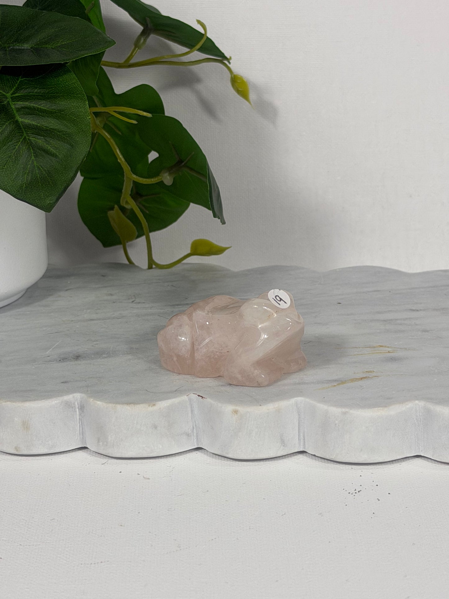 Rose Quartz Frog