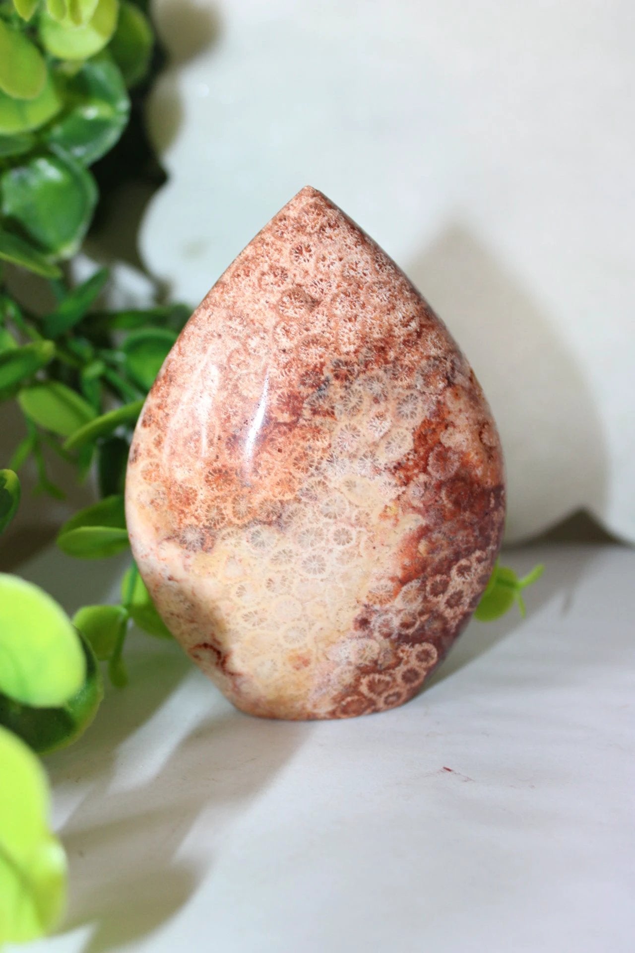 Red Coral Fossil Teardrop by Heartstone Sanctuary