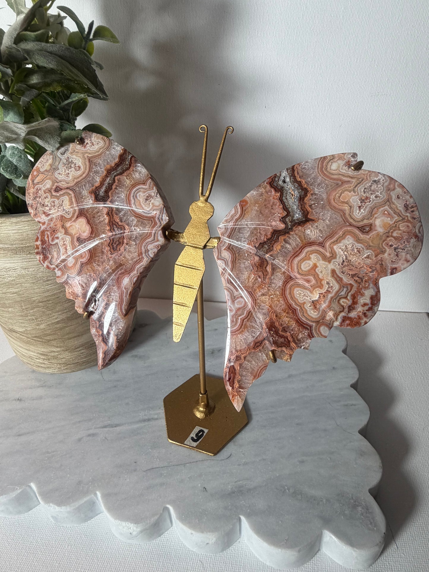 Pink Crazy Lace Agate Wings