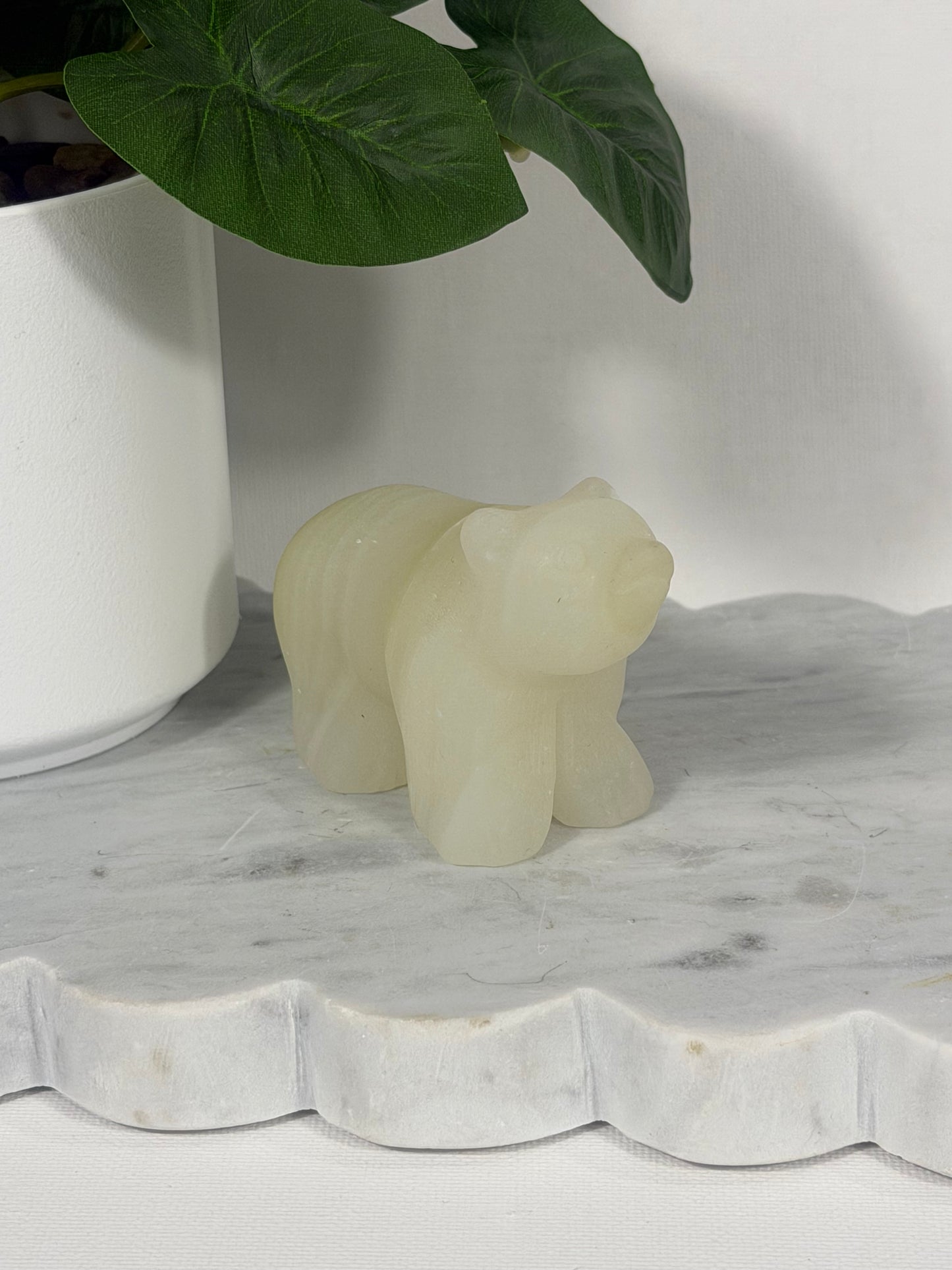 Bears