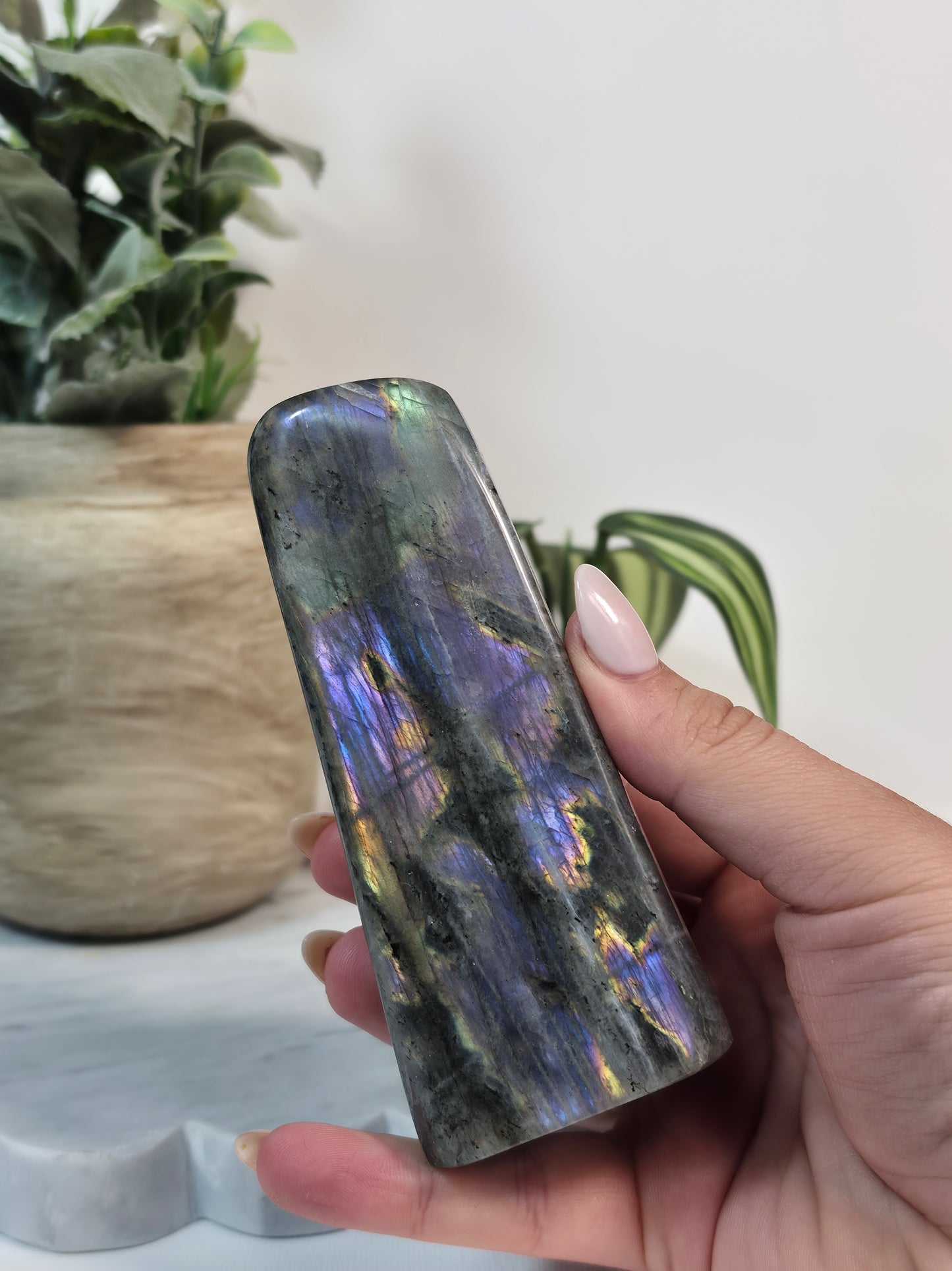 Labradorite Freeform 55A