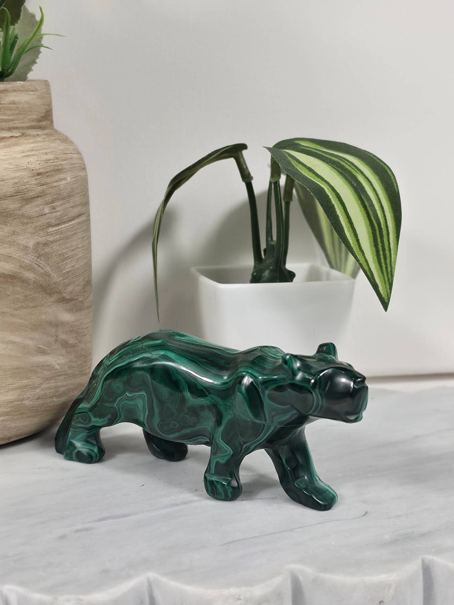 Malachite Tiger