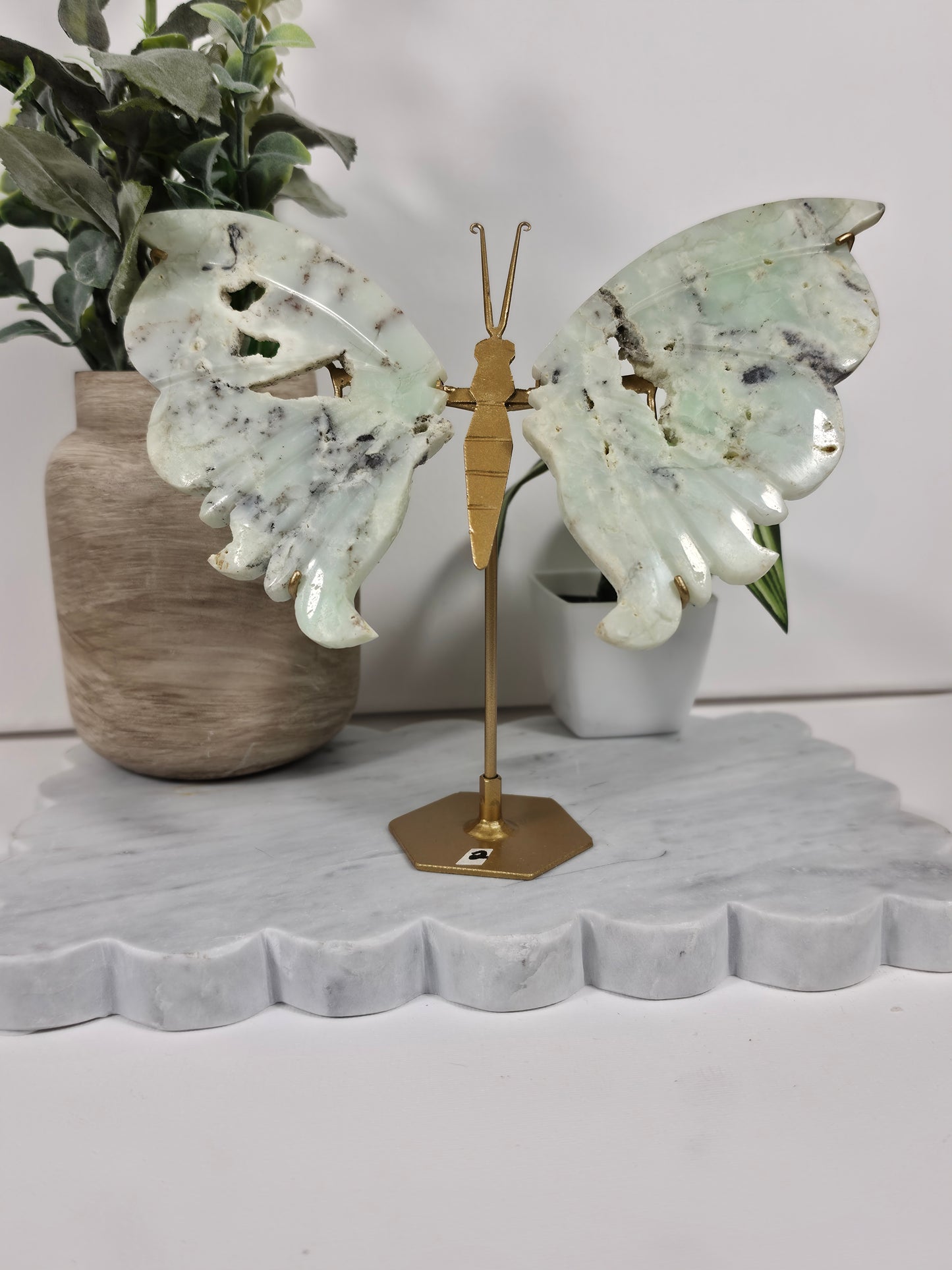 Chrysophrase Indonesian Wings 50A