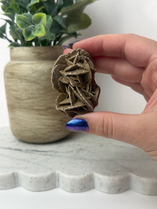 Desert Rose