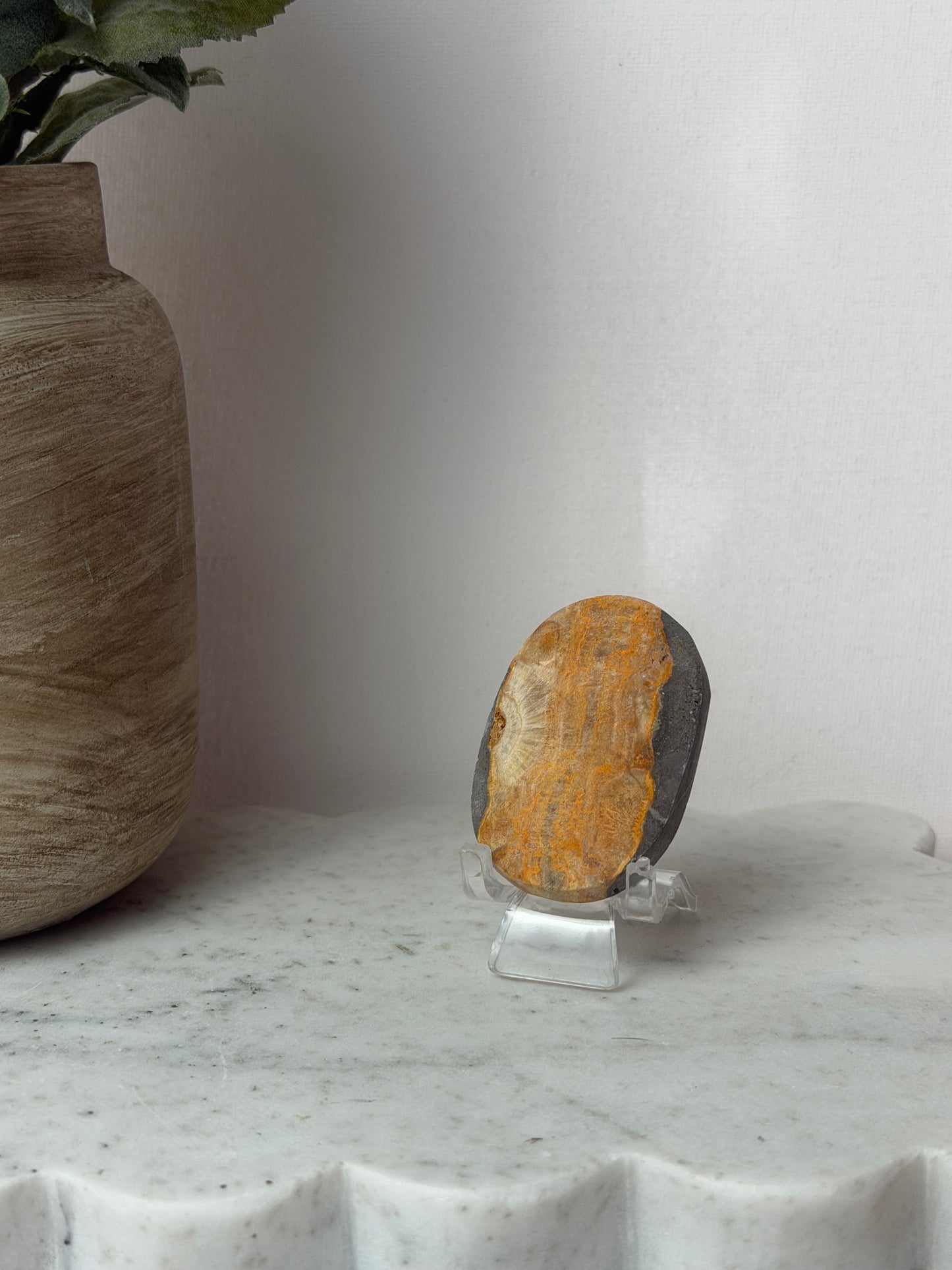 Bumblebee Jasper Palm Stone