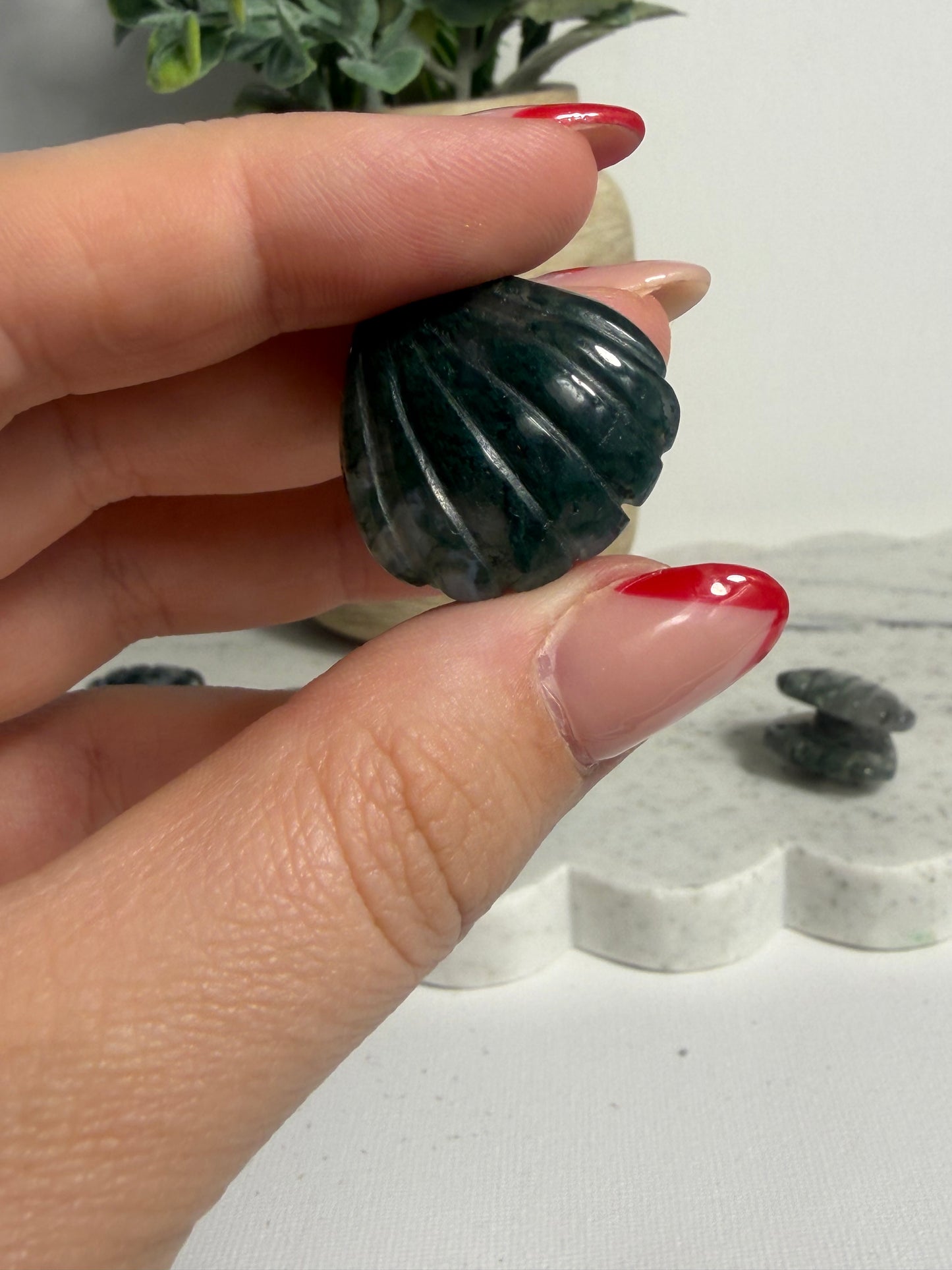 Moss Agate Shell Mini