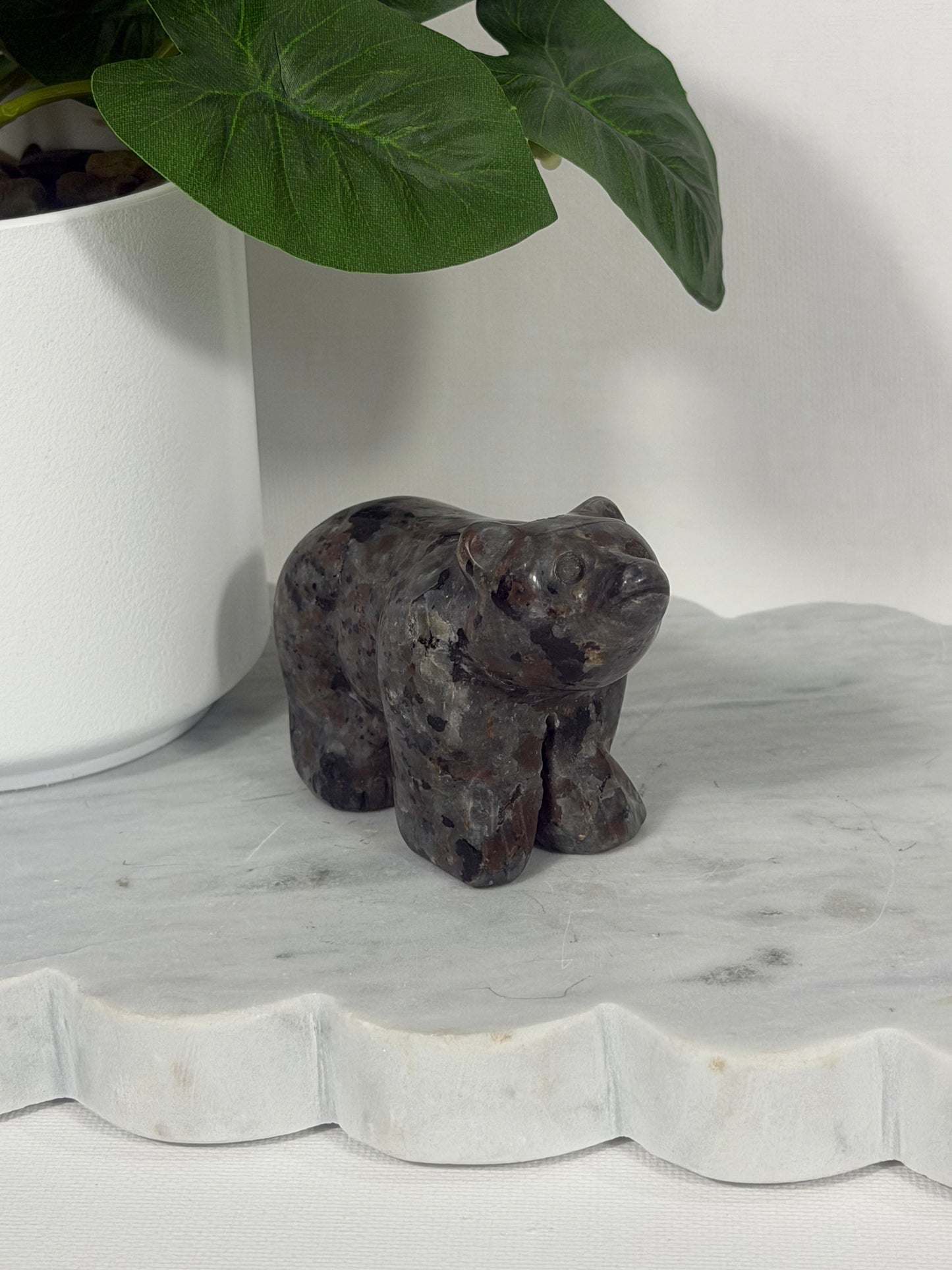 Bears