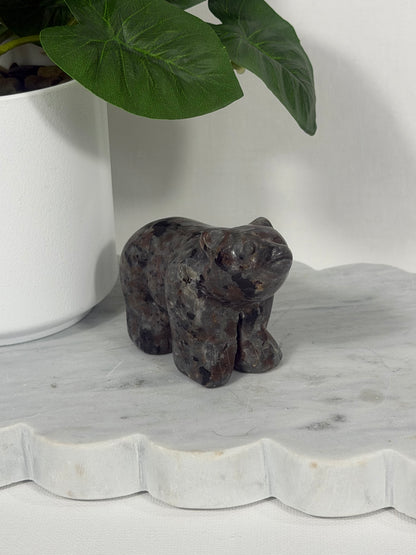 Bears