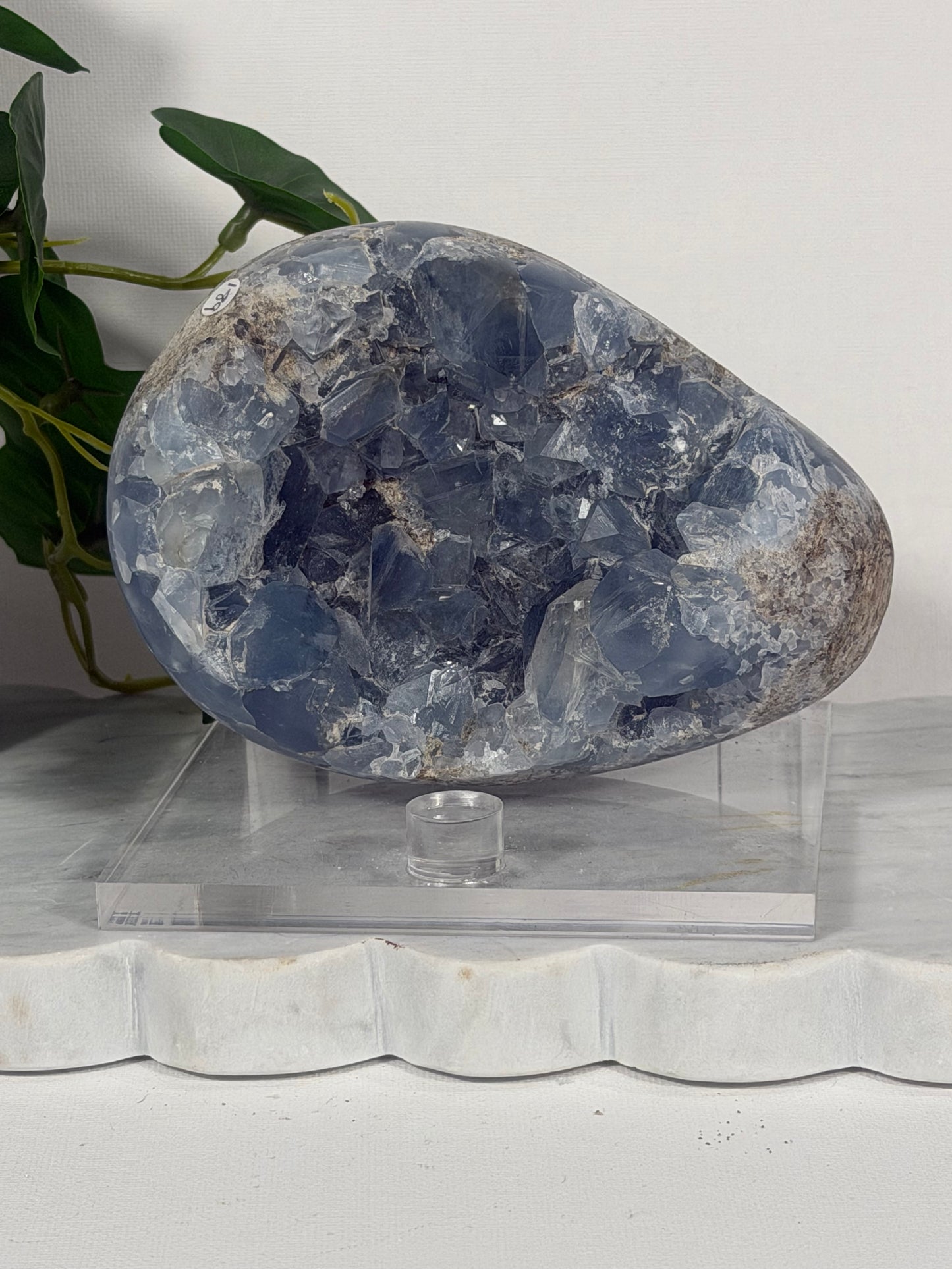 Celestite Geode Egg