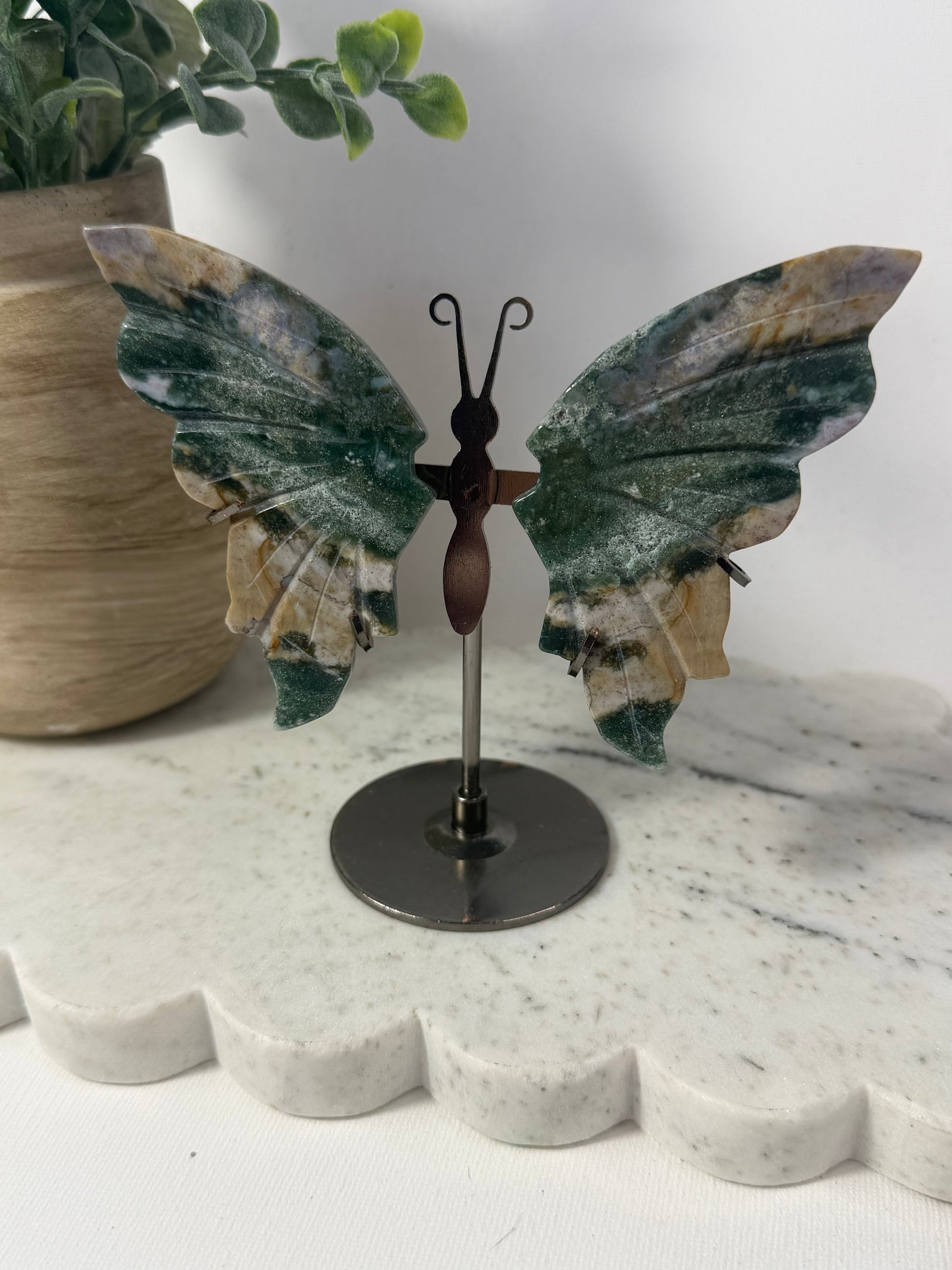 Ocean Jasper Butterfly