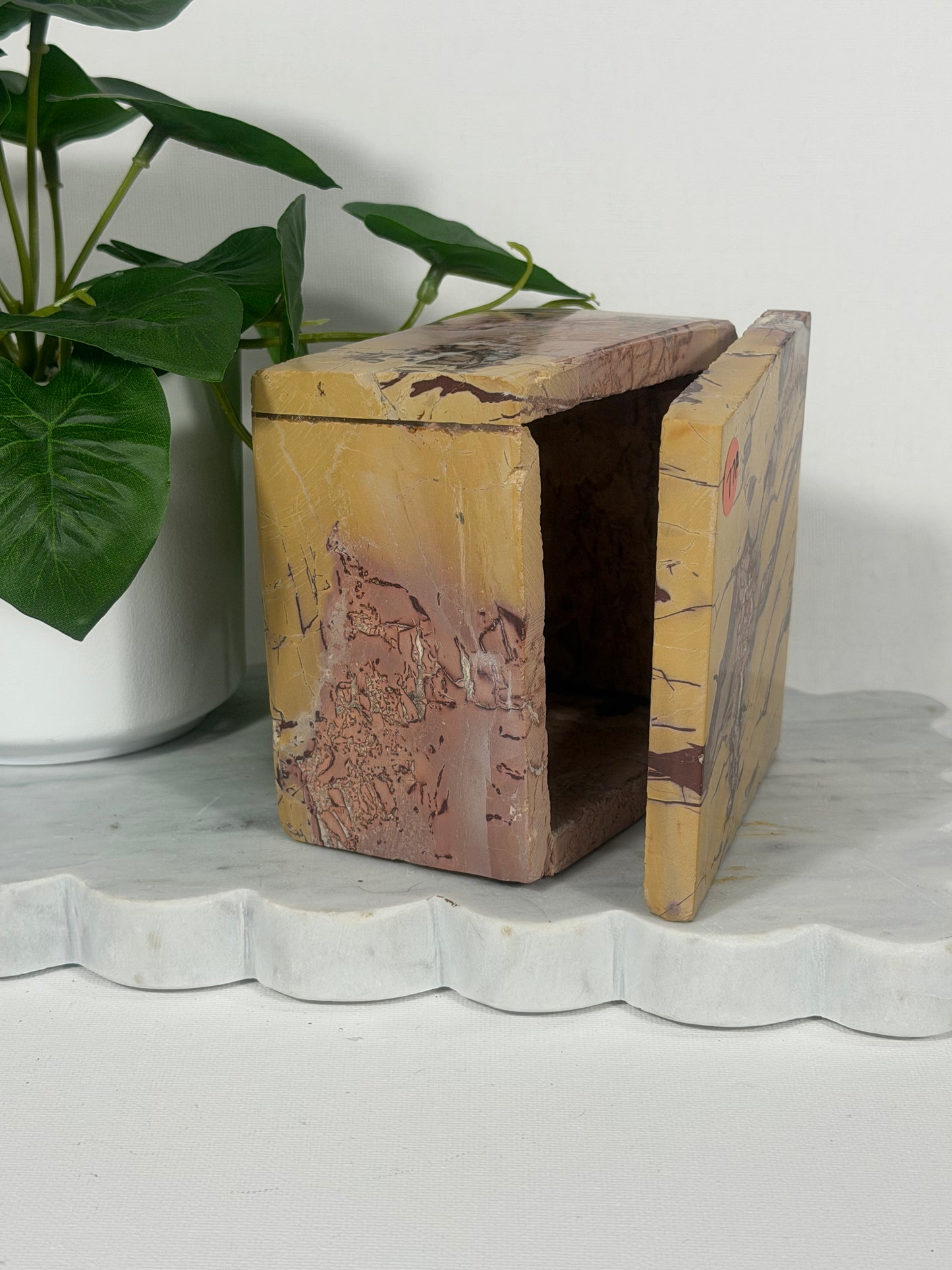 Picture Jasper Box