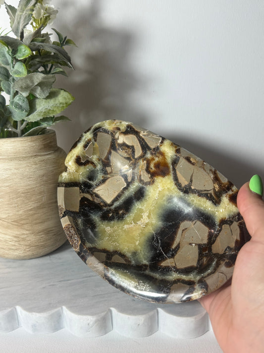 Septarian Bowl