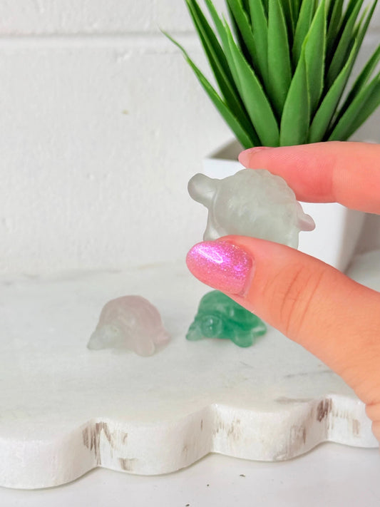 Flourite Mini Turtle - intuitively selected by Heartstone Sanctuary