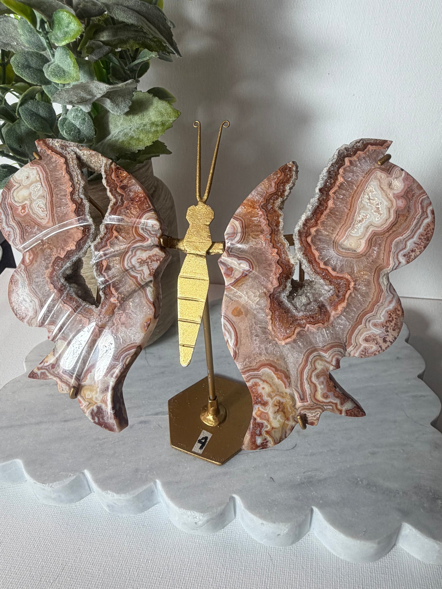 Pink Crazy Lace Agate Wings
