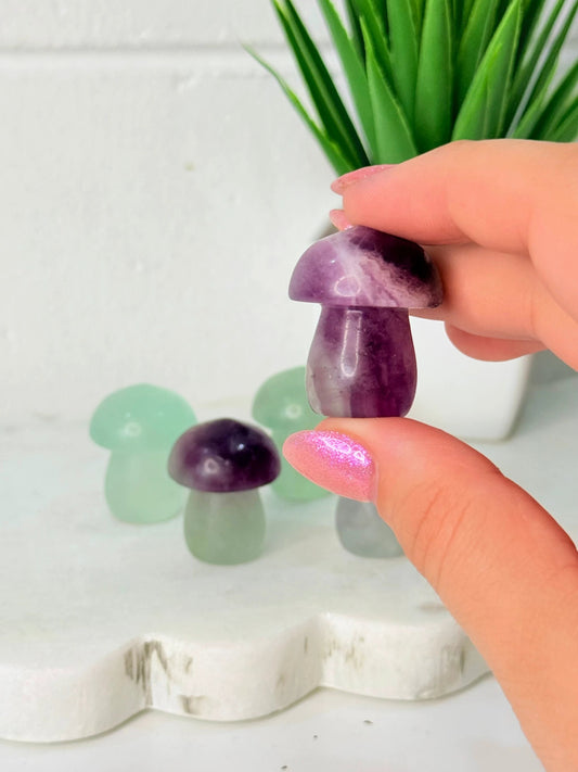 Flourite Mini Mushroom by Heartstone Sanctuary