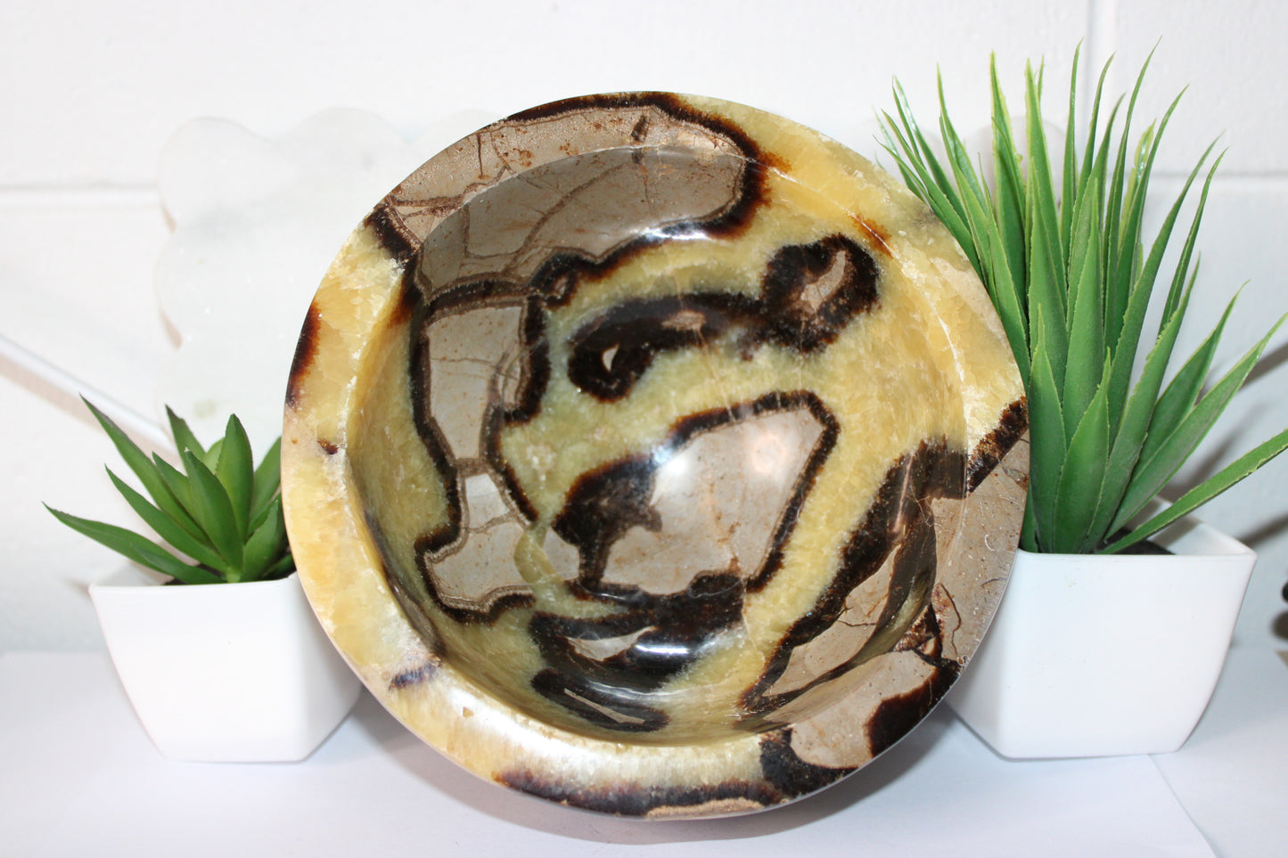 Septarian Crystal Bowl | Grounding & Ancient Earth Energy by Heartstone Sanctuary