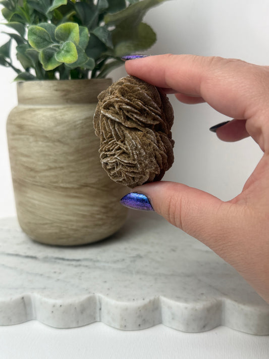 Desert Rose