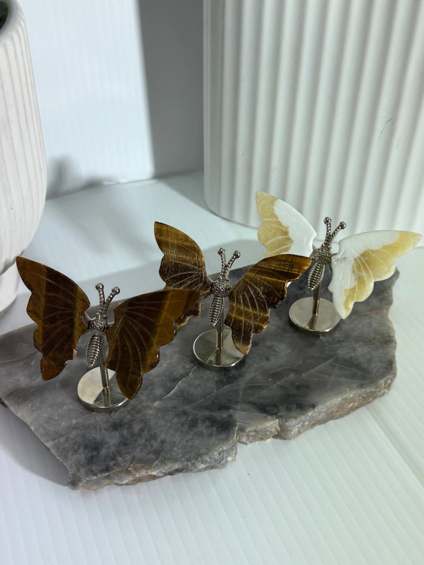 Butterfly by Heartstone Sanctuary