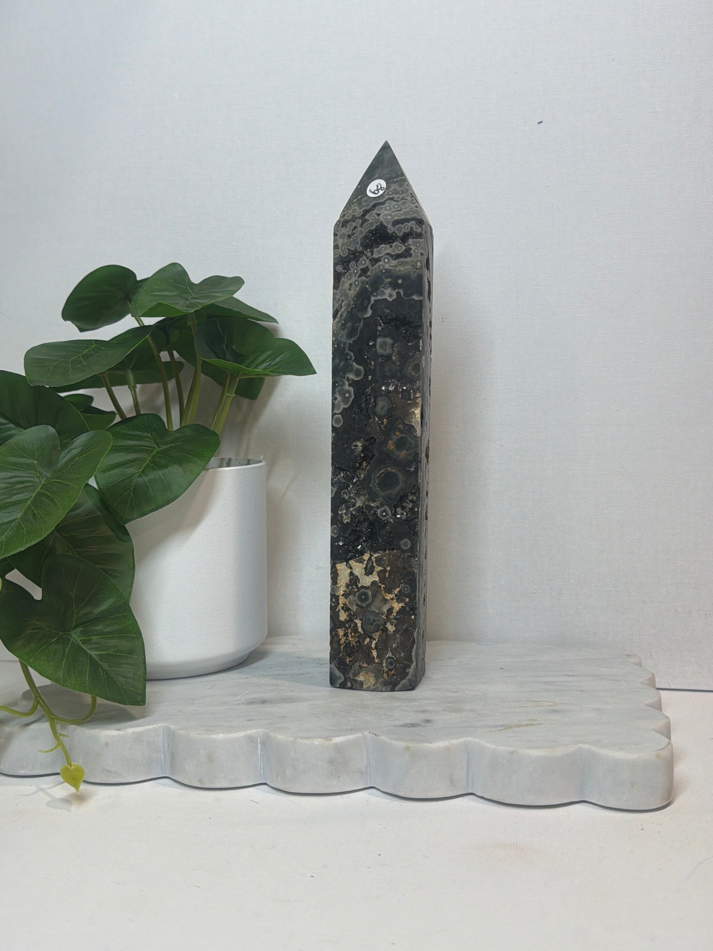 Ocean Jasper Tower
