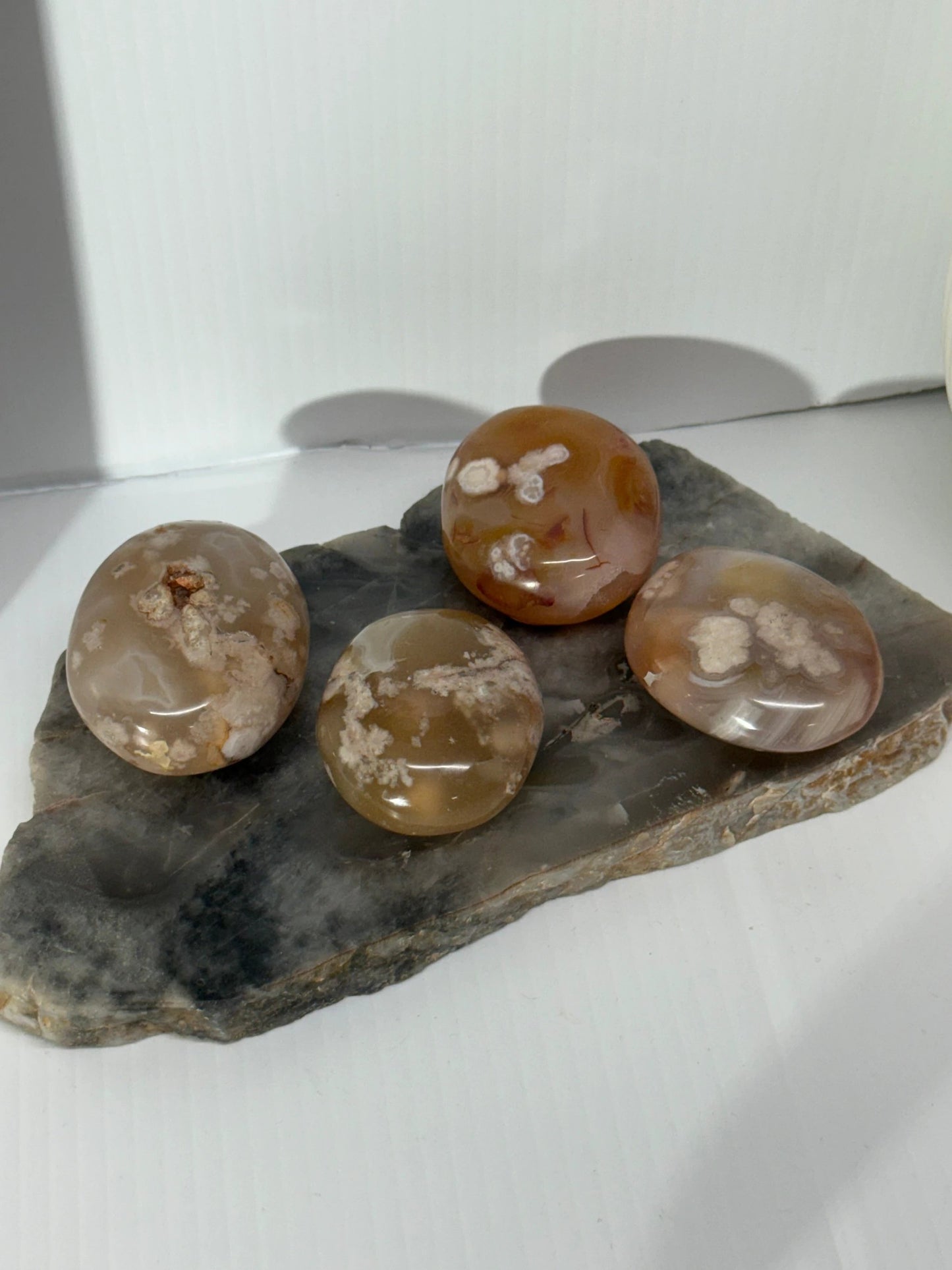 Flower Agate Palm by Heartstone Sanctuary