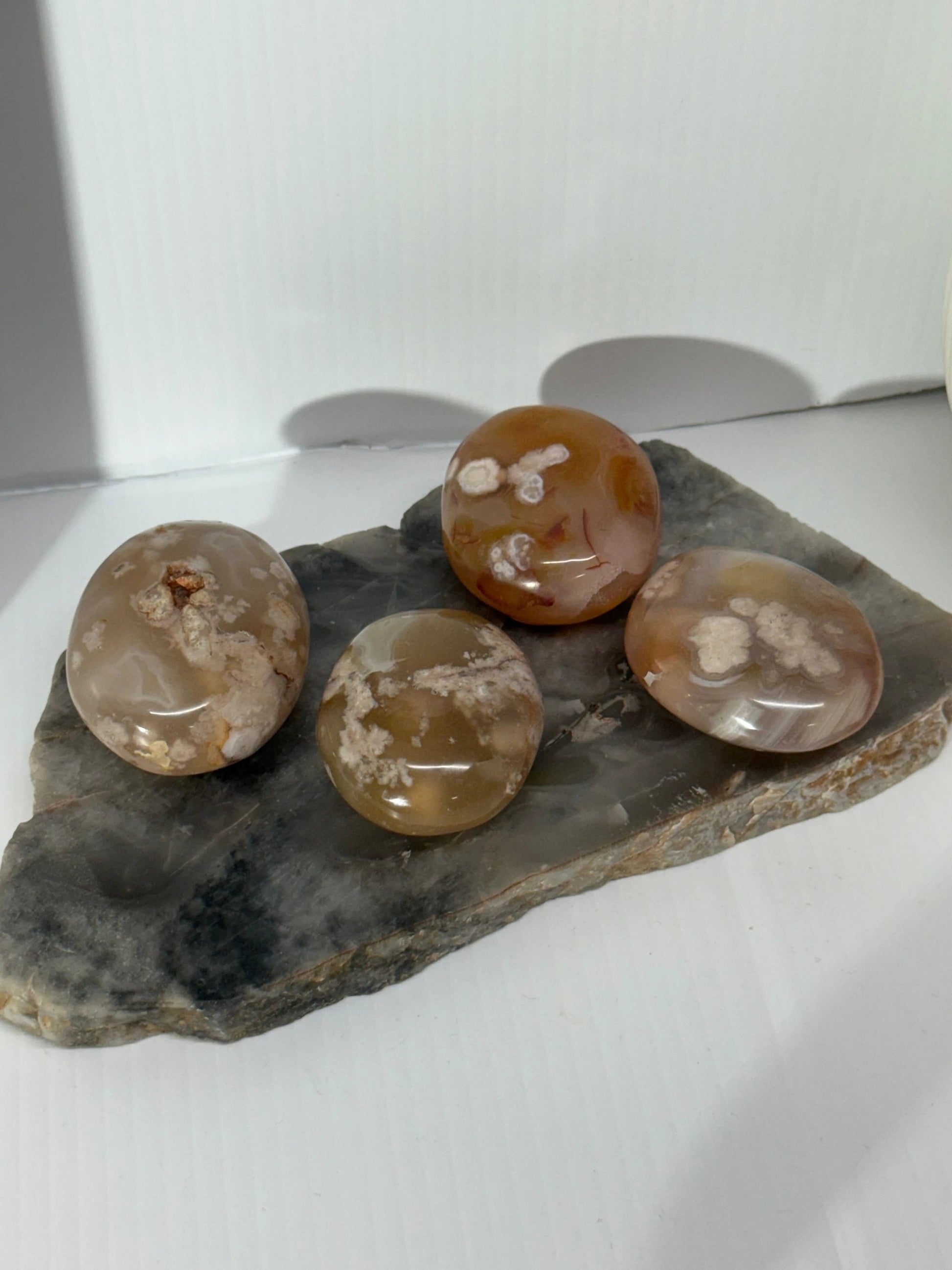 Flower Agate Palm by Heartstone Sanctuary