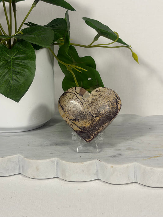Picture Jasper Box