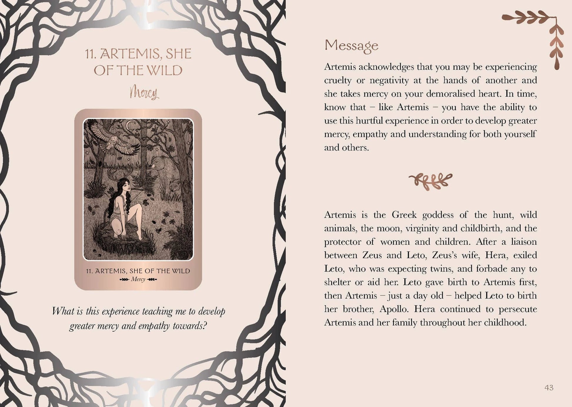 Wild Woman Oracle (44 Cards & 144 Page Guidebook) by ROCKPOOL PUBLISHING