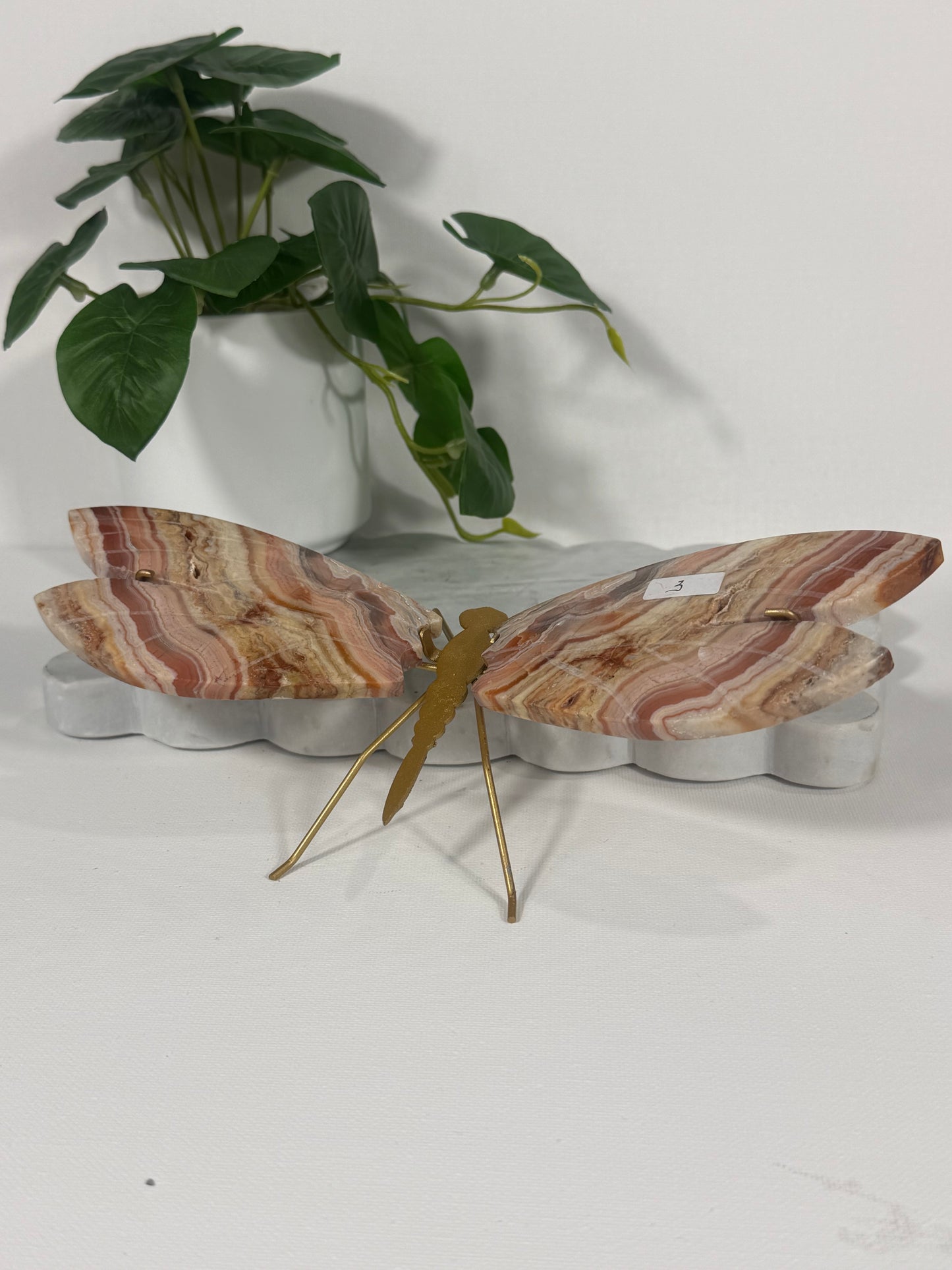 Pink Crazy Lace Dragonfly