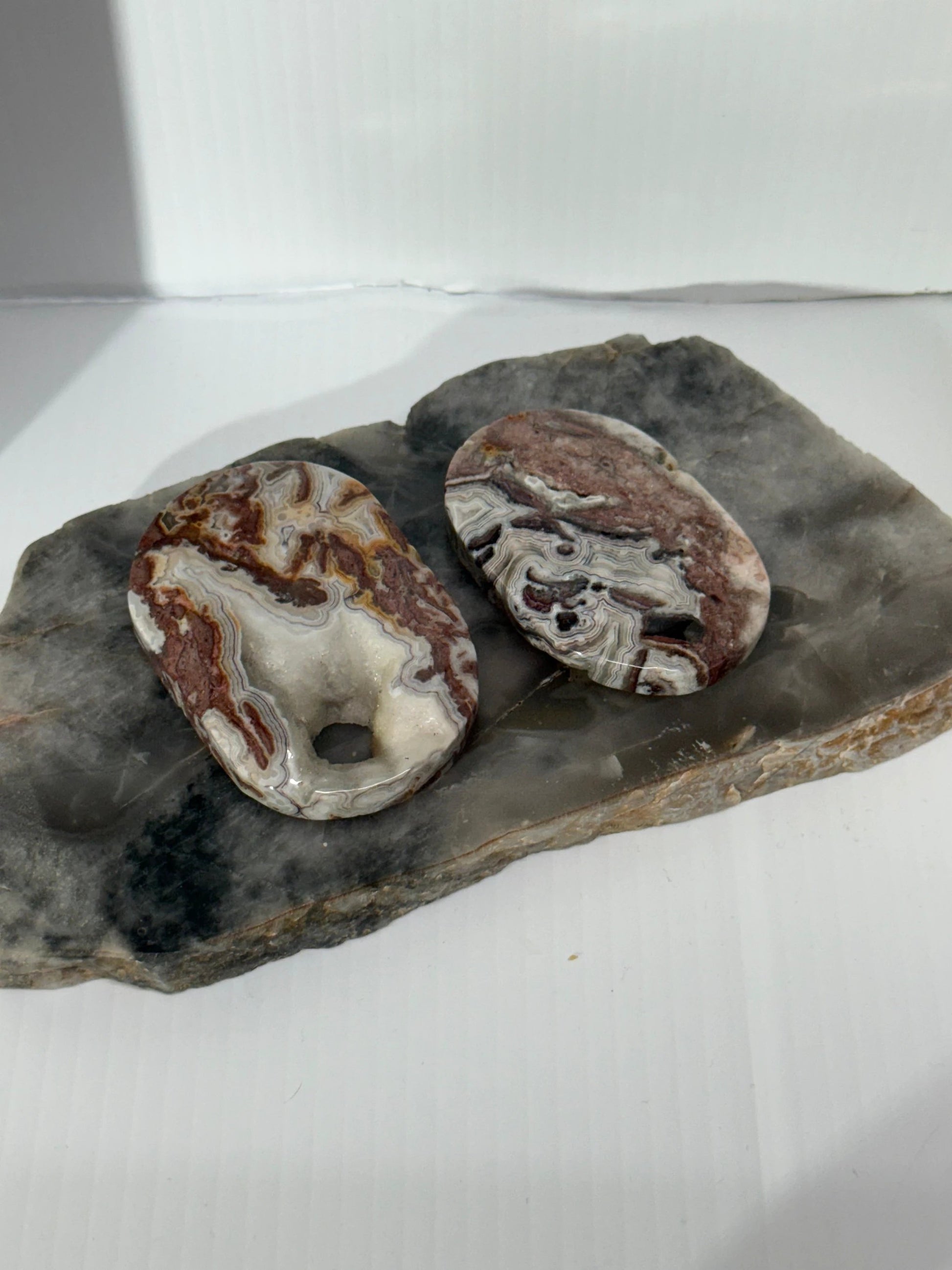 Mexican Agate Palm Stone by Heartstone Sanctuary